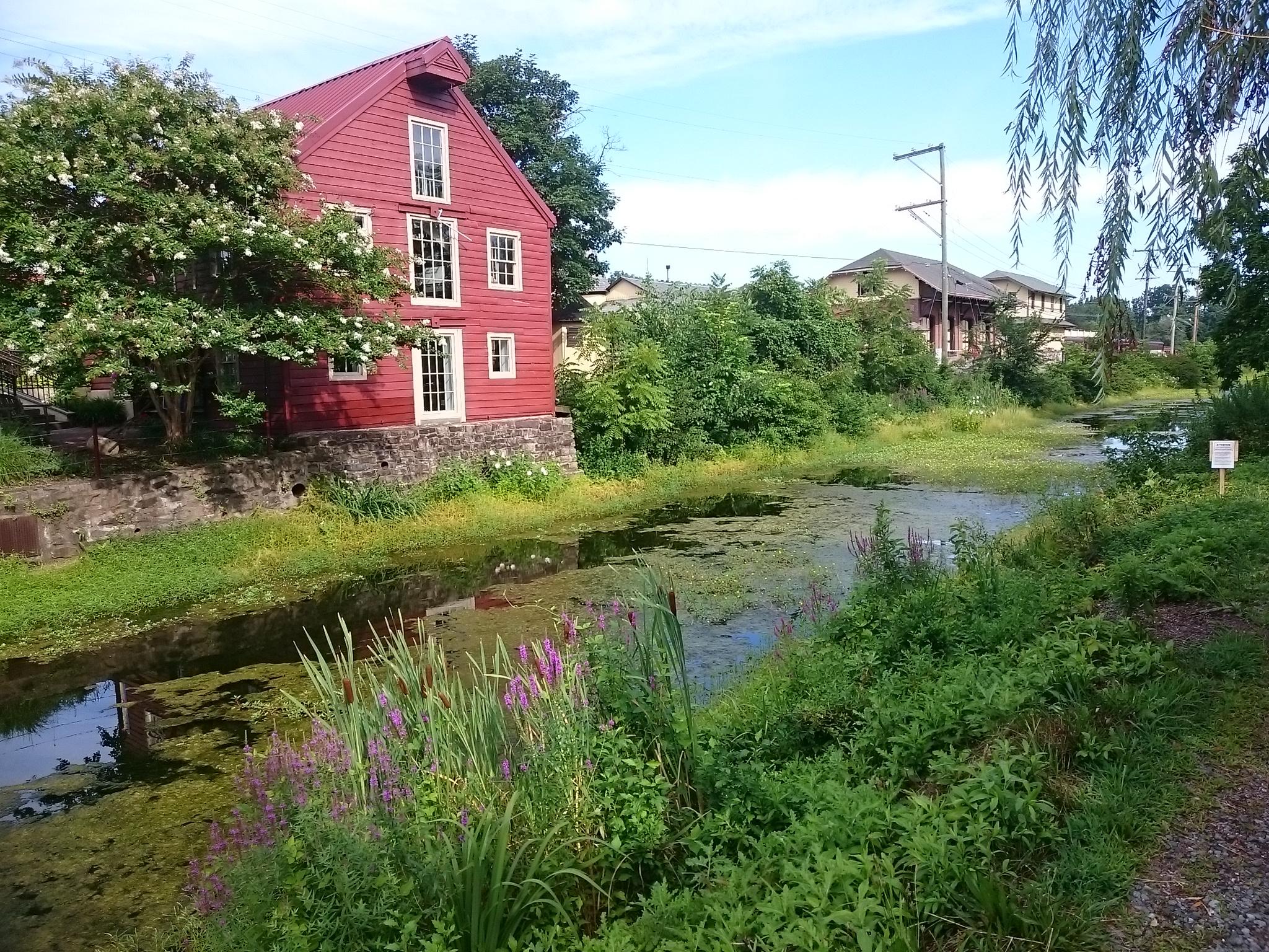 A red building stands beside a green, overgrown canal on a bright day.