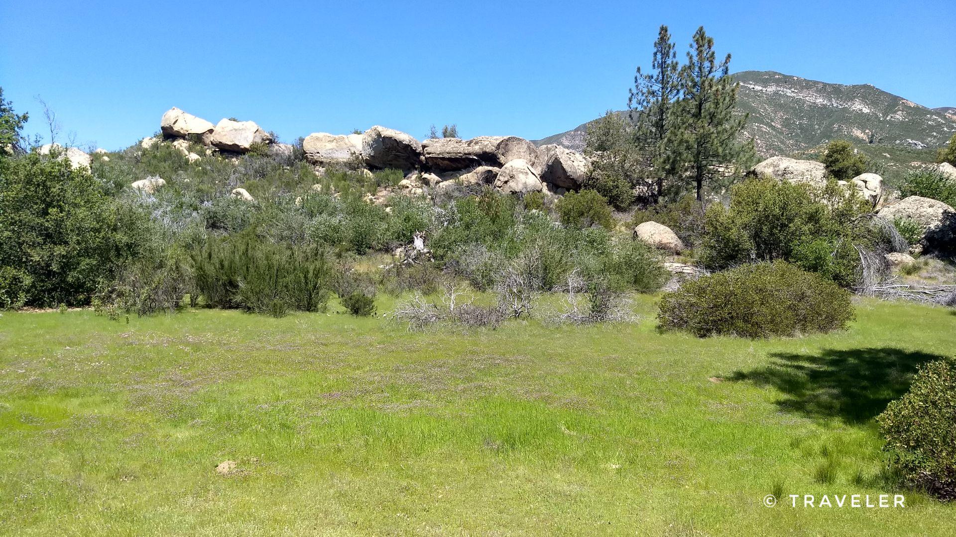 Green grassy field with scattered bushes leading to rocky hills and mountains.