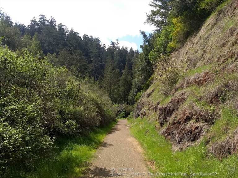 Marie Dhority Bridge Cross Marin Trail Cycle Routes and Map