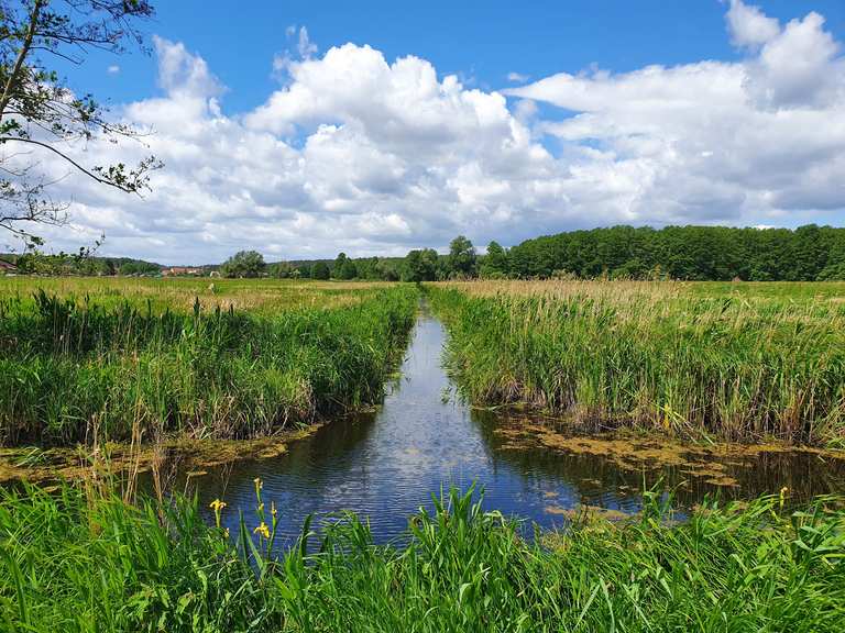 Naturpark Nuthe-Nieplitz: Wanderungen und Rundwege | komoot