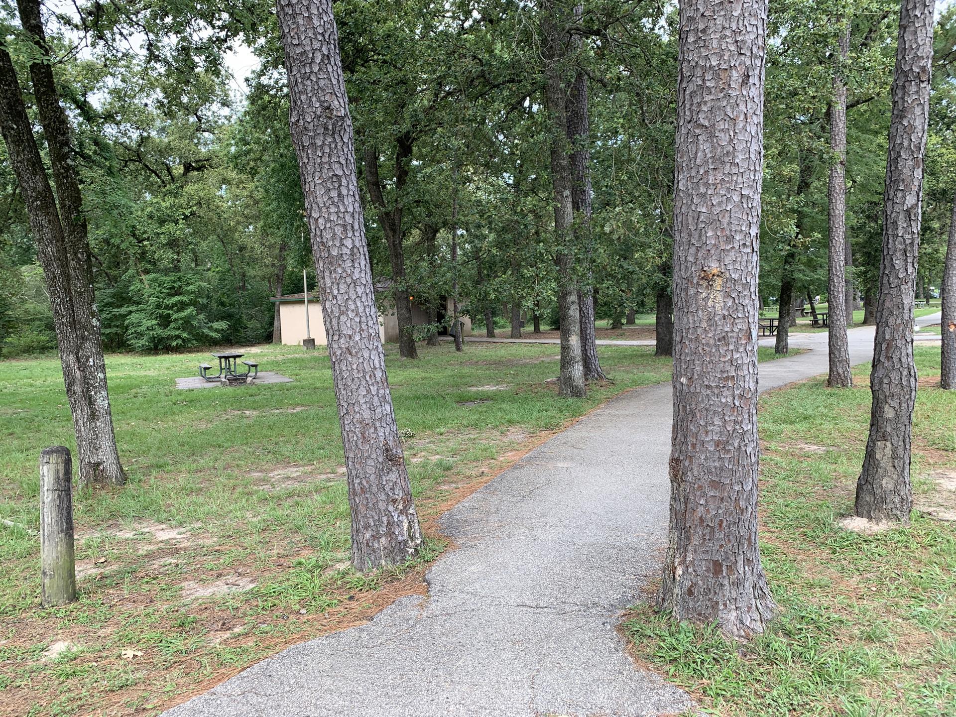 A paved path winds through a grassy park with tall trees and a building.