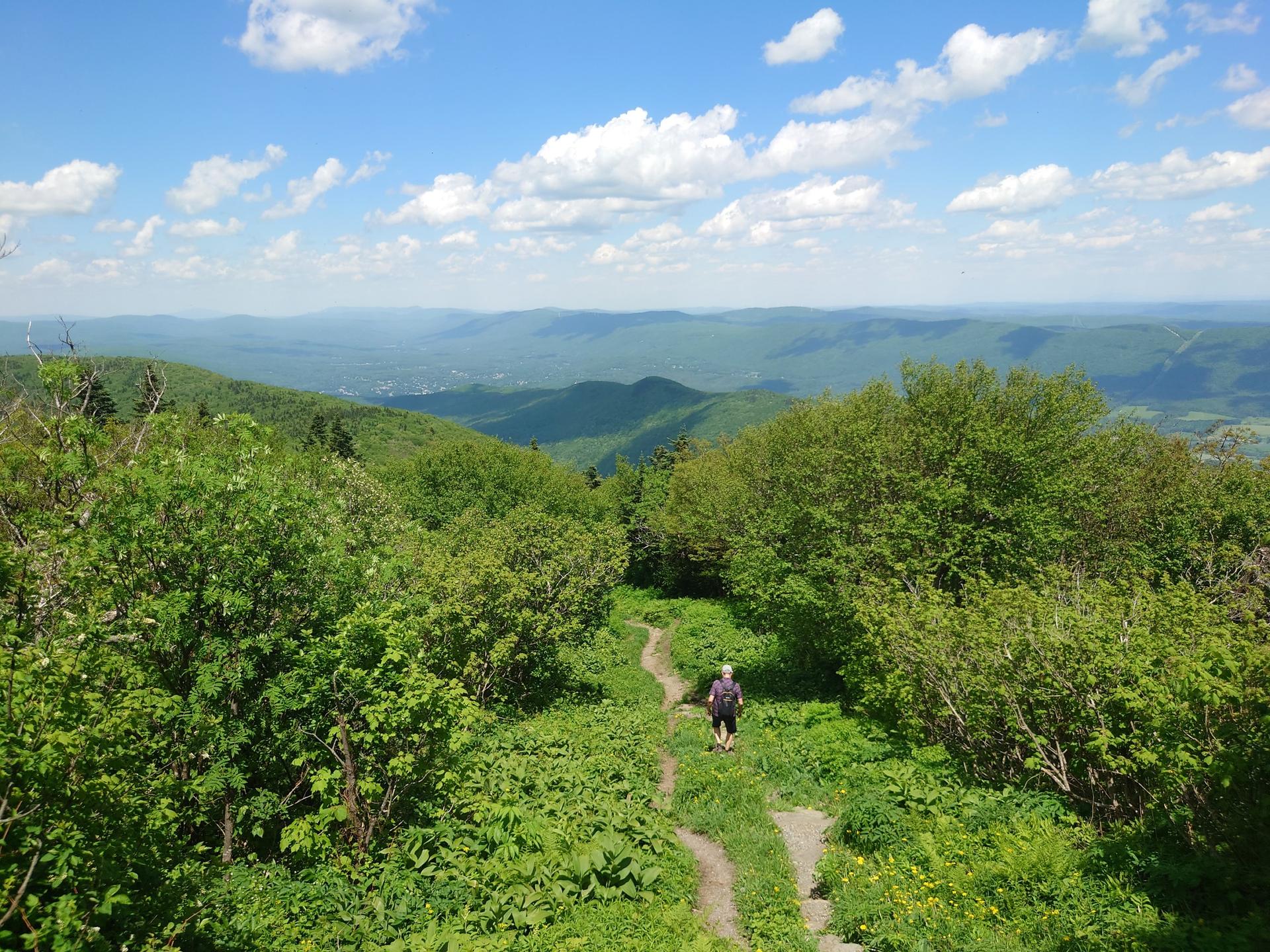 Hiker on a winding green mountain path under a bright blue sky.