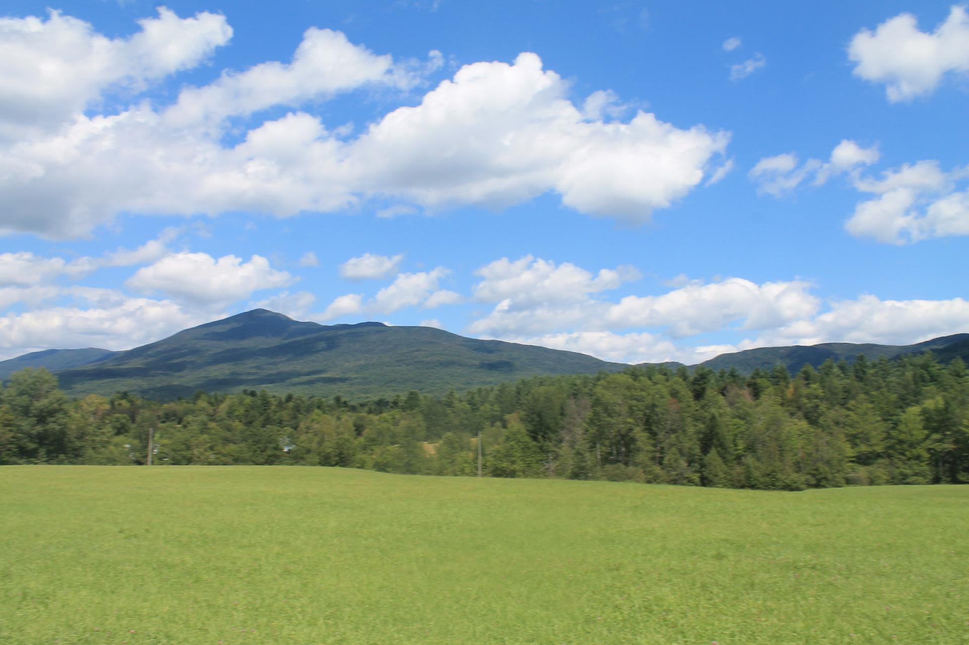 Bright green field leading to forested mountains under a blue, cloudy sky.
