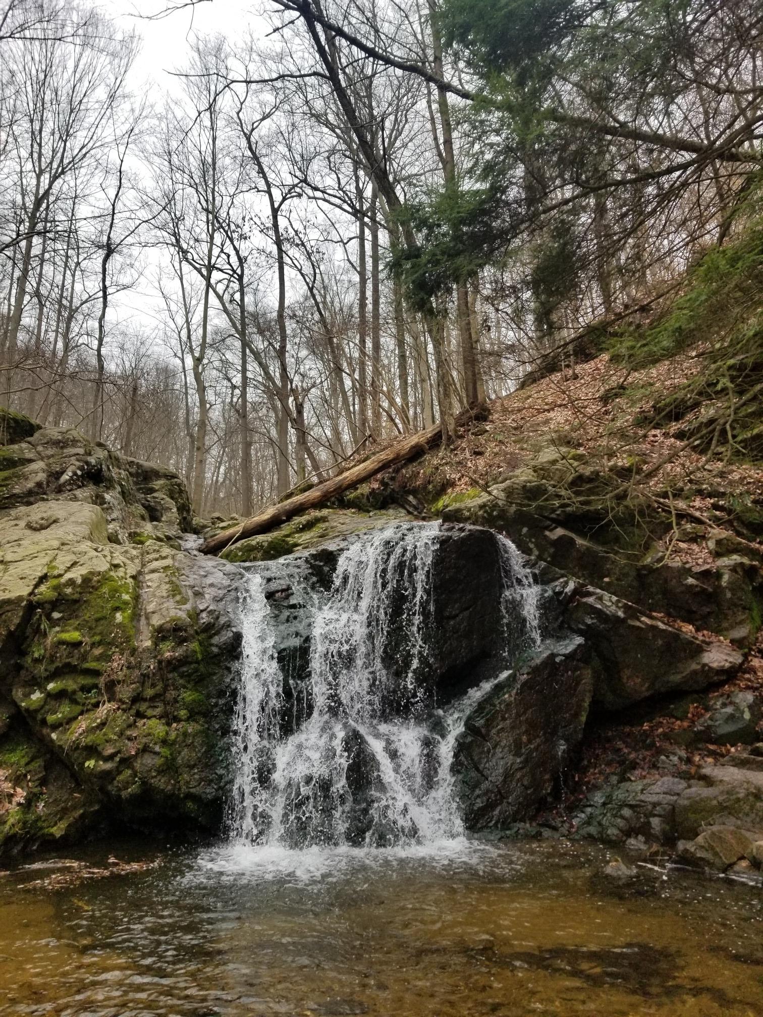 A waterfall flows over dark rocks into a pool in a bare winter forest.