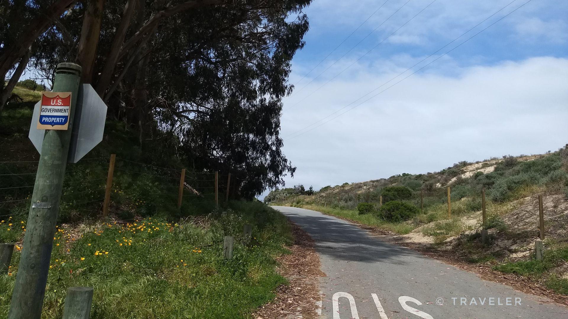 Paved road ascends a grassy hill with trees under a cloudy sky.