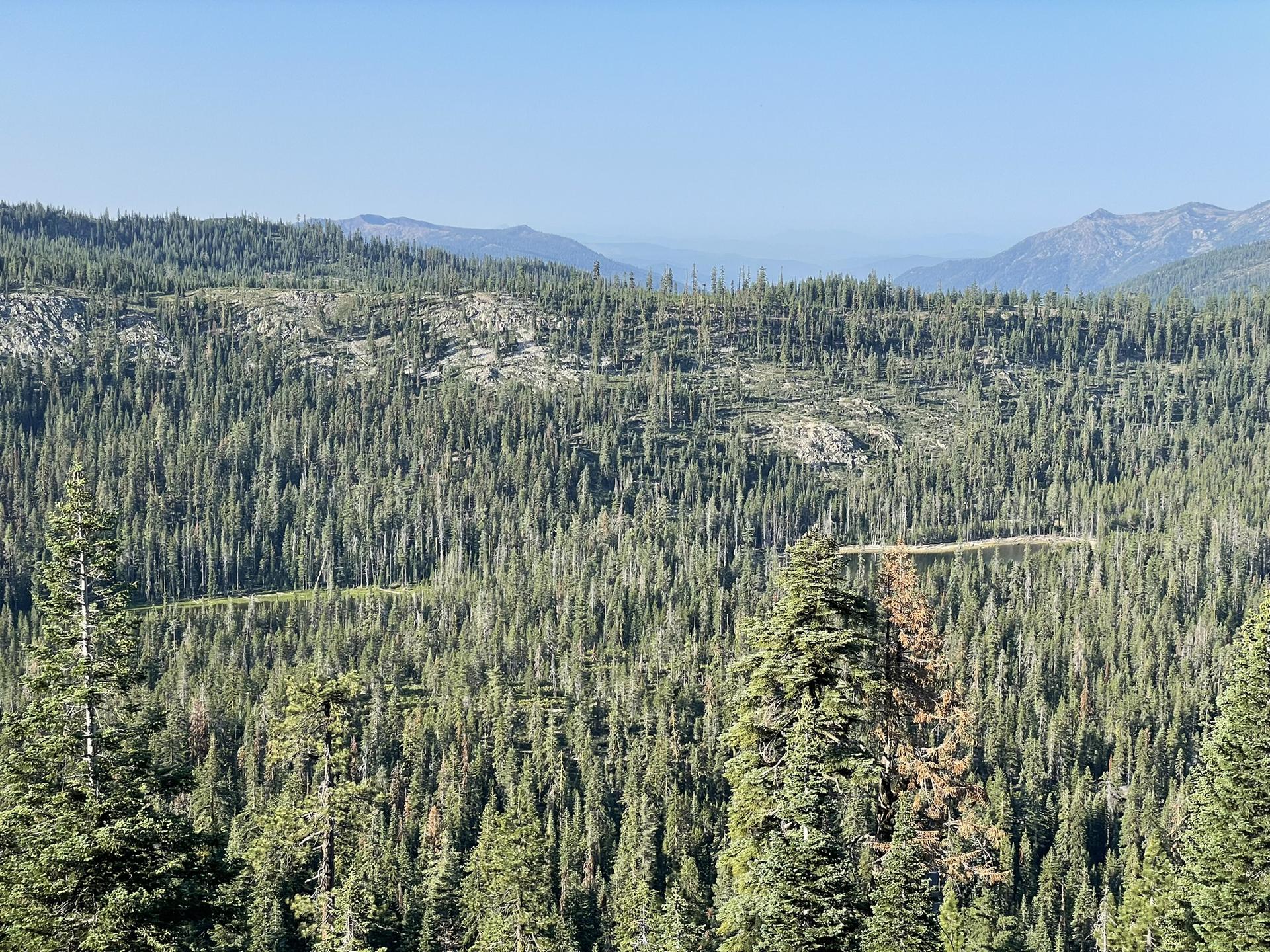 Expansive mountain landscape with dense evergreen trees and a winding road.