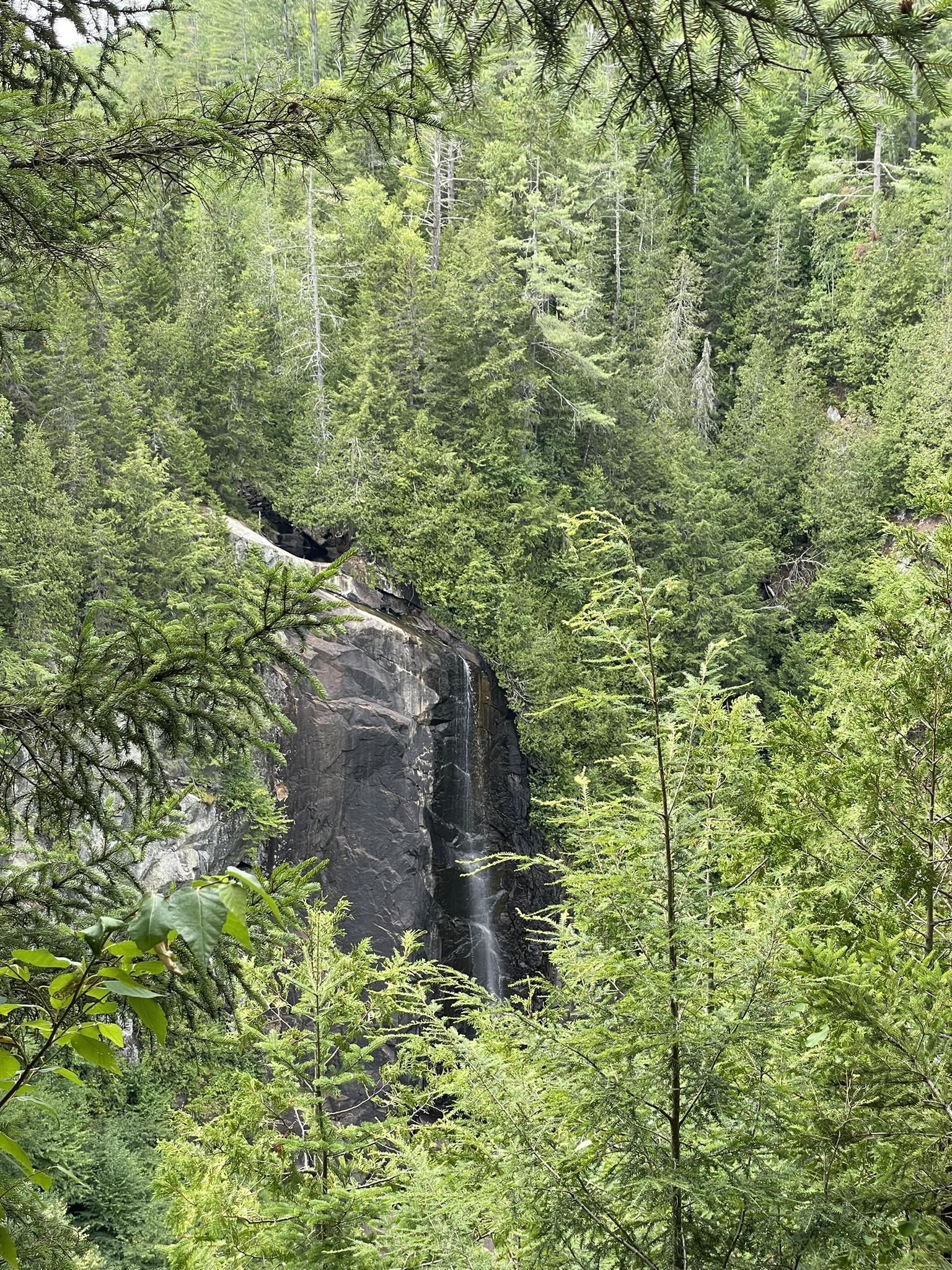A waterfall cascades down a rocky cliff surrounded by dense green forest.