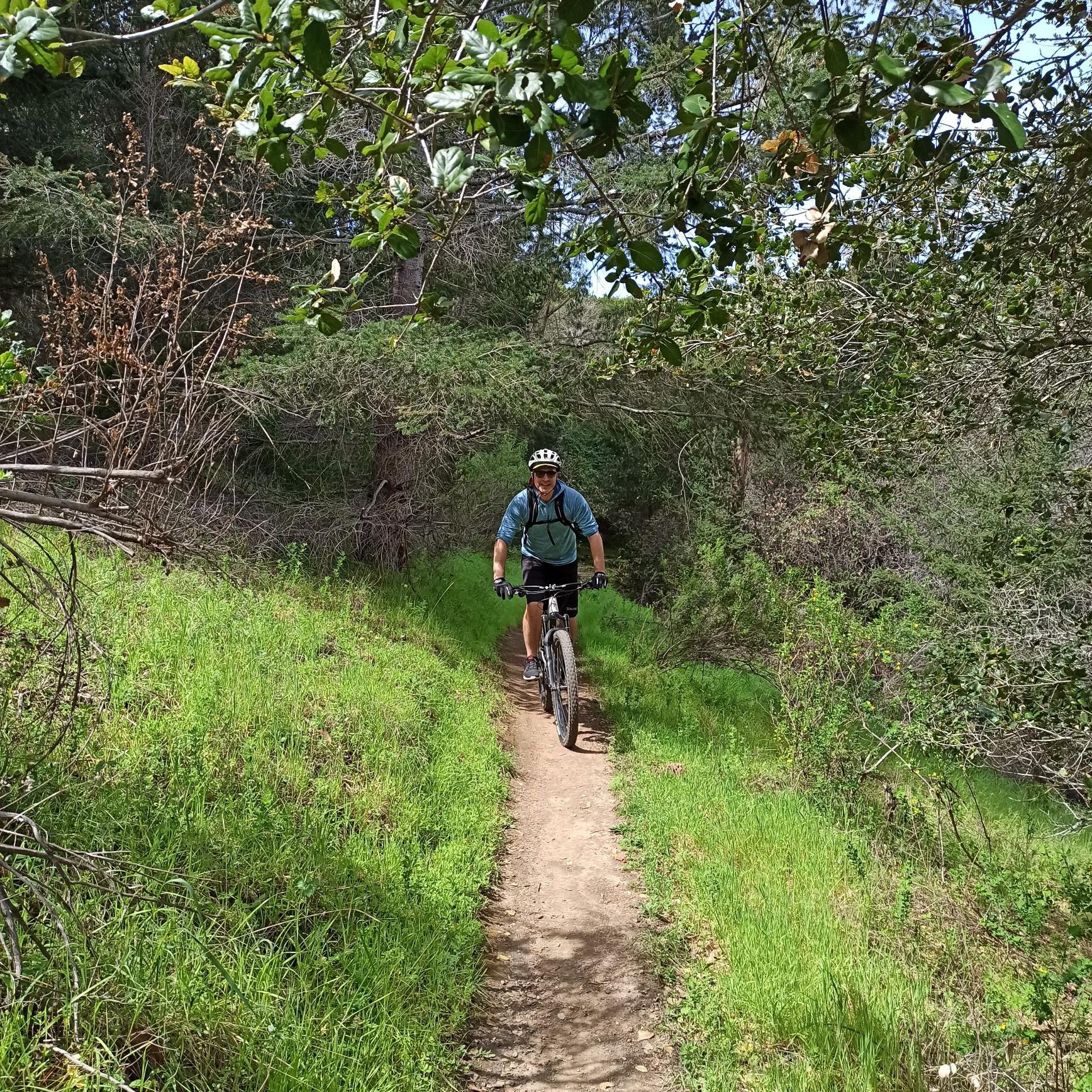 A man on a mountain bike rides a narrow dirt trail through green woods.
