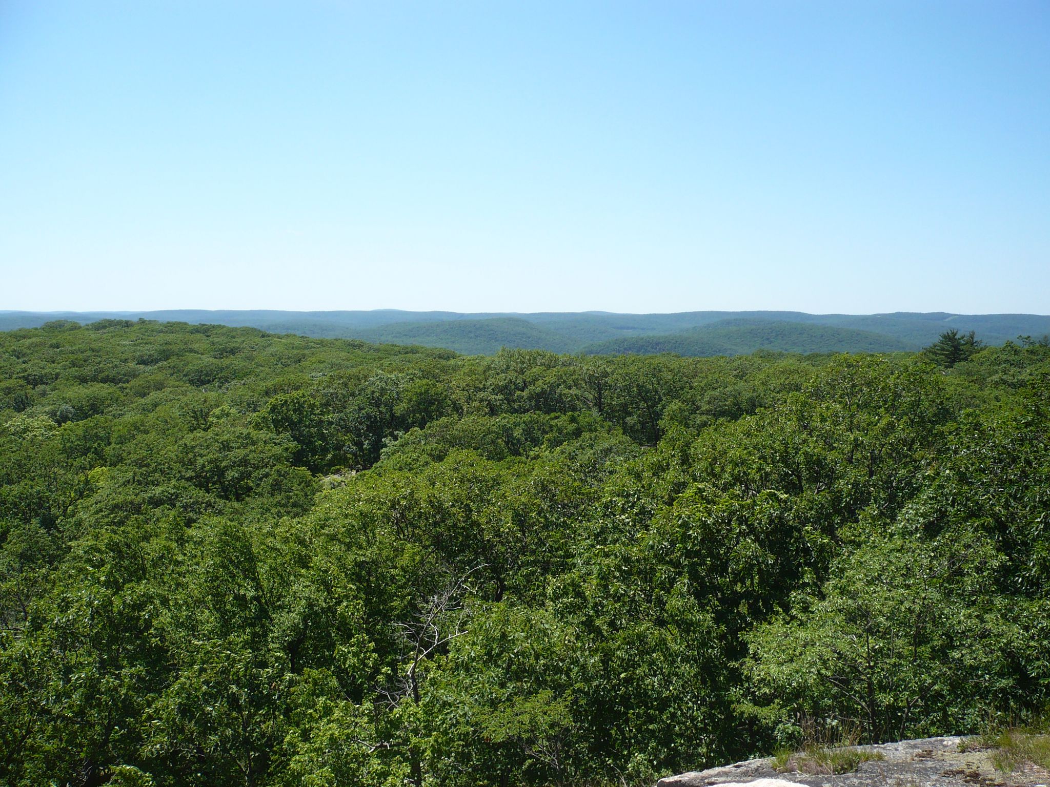 Expansive view of a dense green forest under a clear blue sky. - Ramapo Dunderberg and Triangle Trail Loop