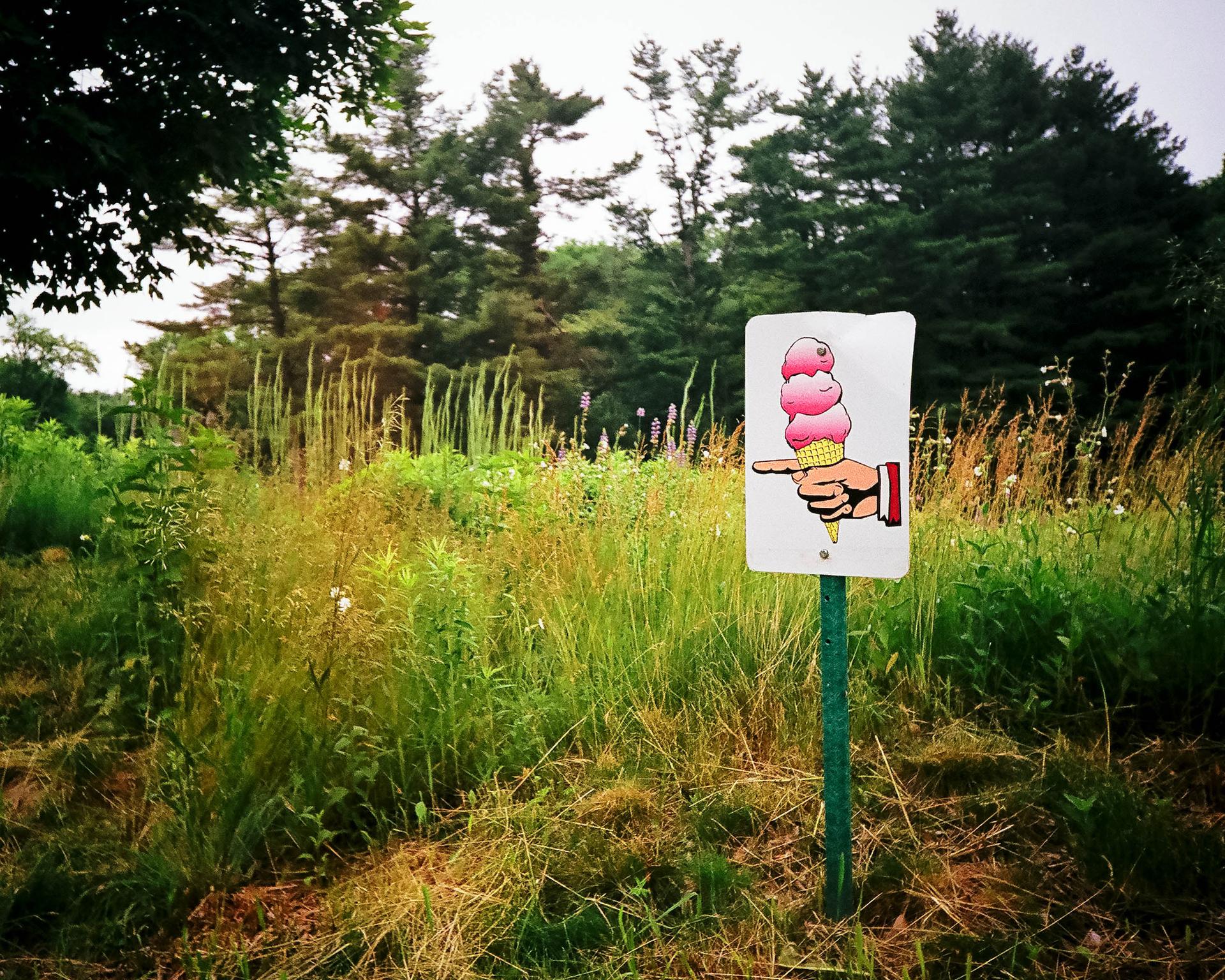 An ice cream sign in a tall grassy field with trees in the background.