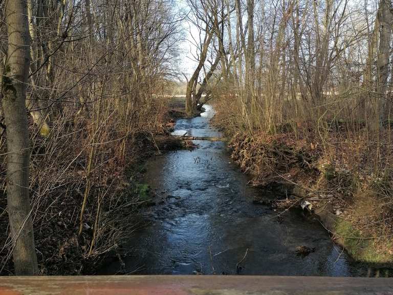 Cheltenhampark & Albani-Friedhof - Niedersachsen, Deutschland, Lauf-Highlight