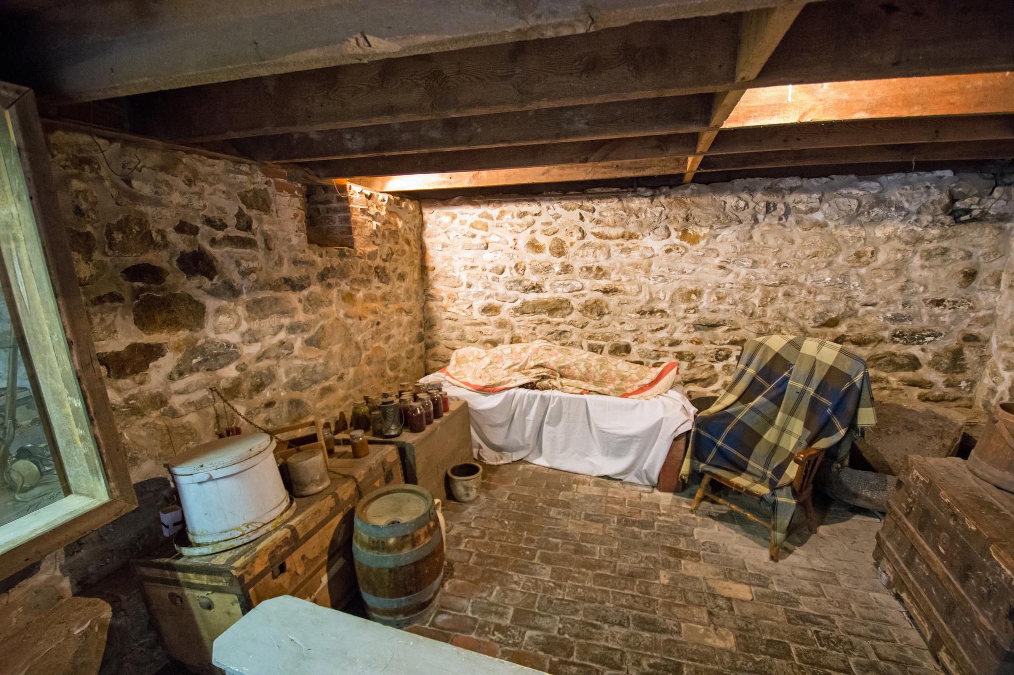 Dimly lit rustic basement with stone walls, wooden beams, and old furniture.
