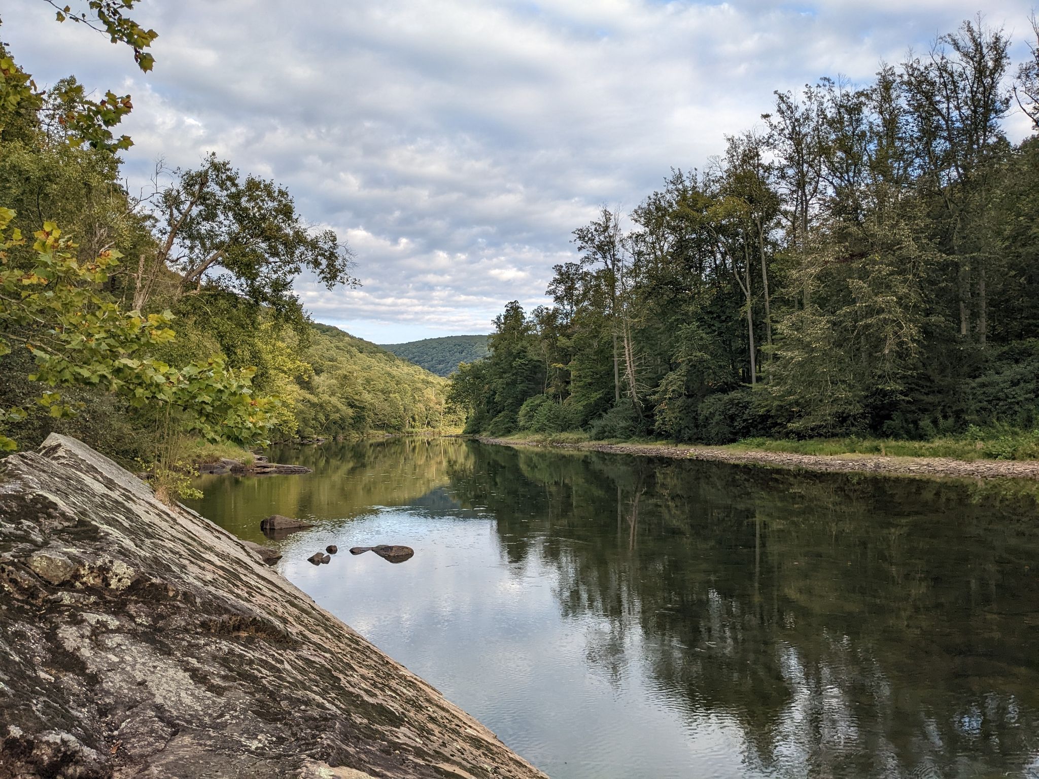 Calm river reflecting cloudy sky and lush green forest banks. - Greenbrier River Trail