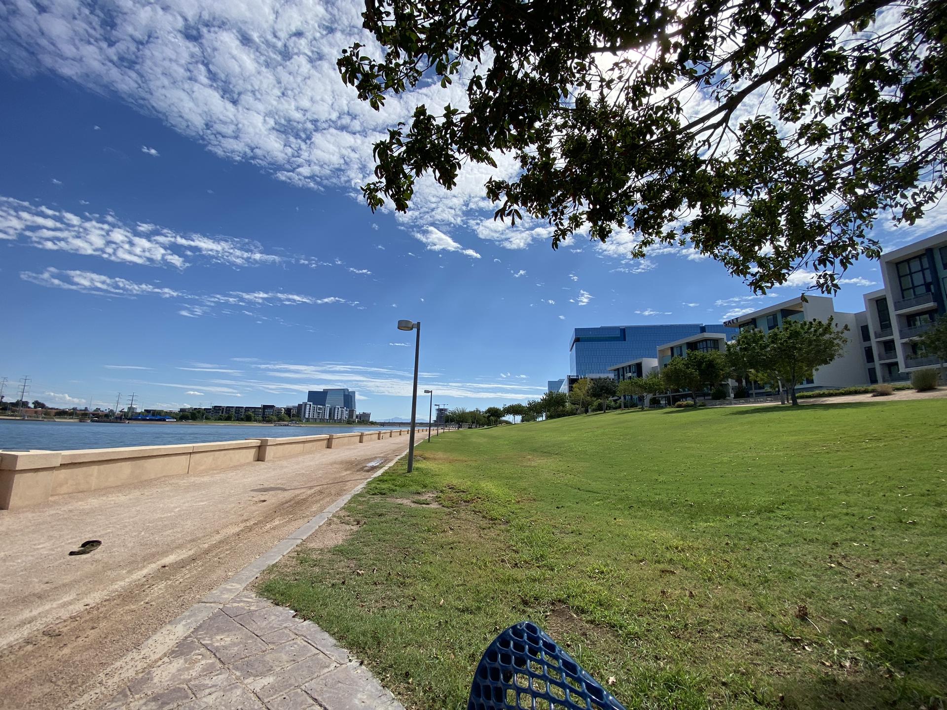 Paved path and green grass beside a lake with buildings, bright sun.