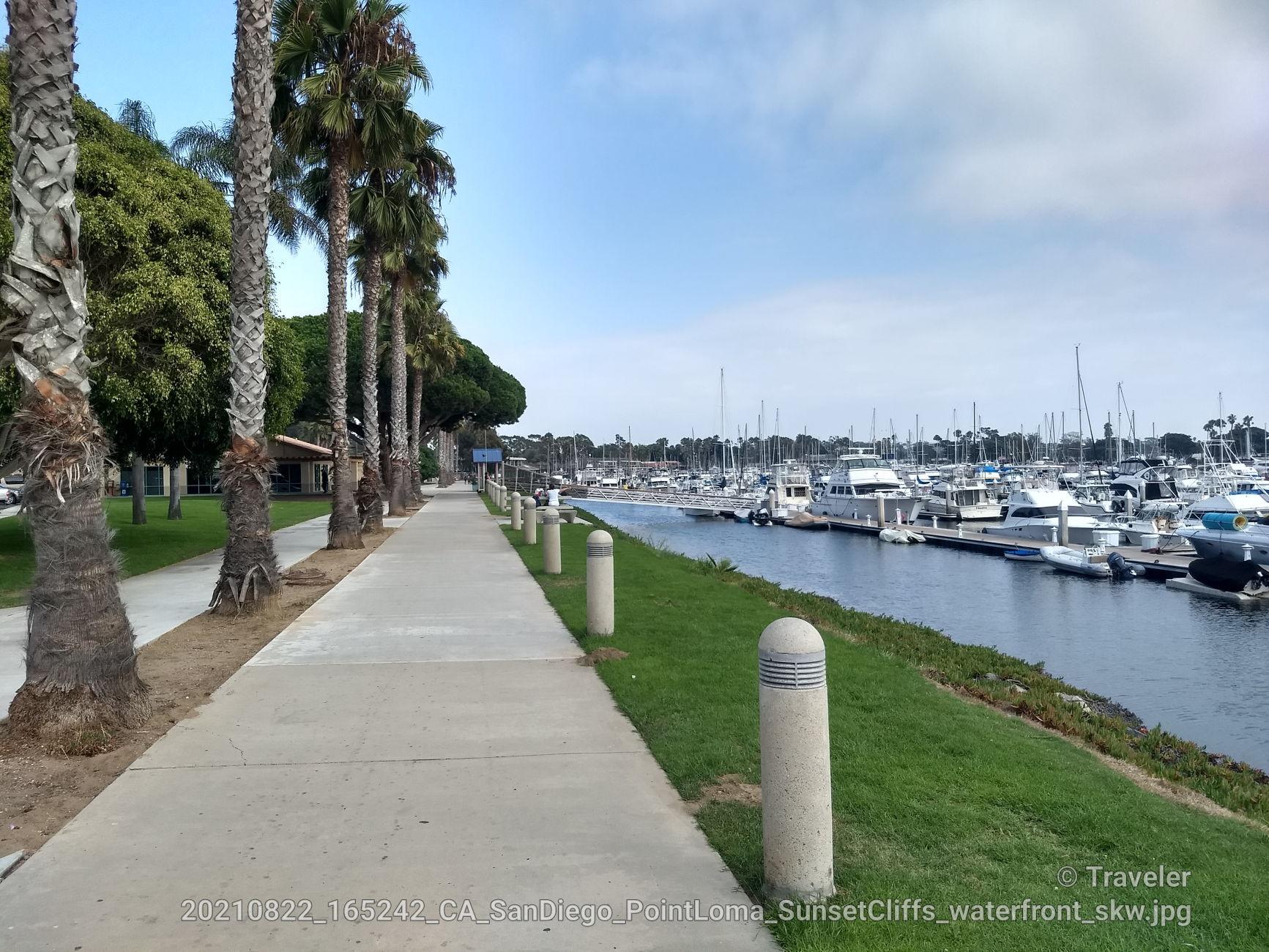 A sunny walkway beside a marina filled with many boats and palm trees.