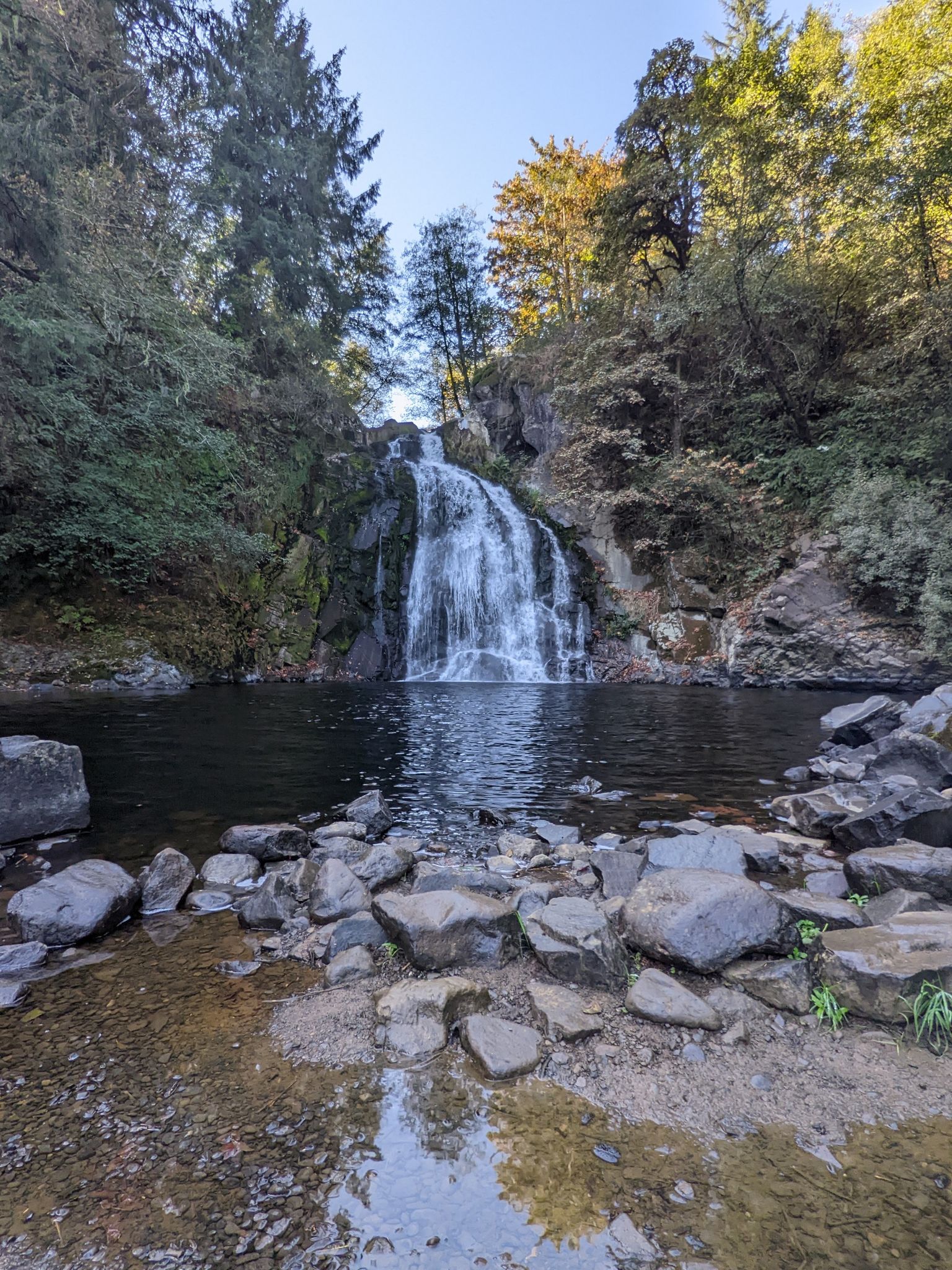 A powerful waterfall cascades into a dark pool surrounded by lush forest. - Youngs River loop