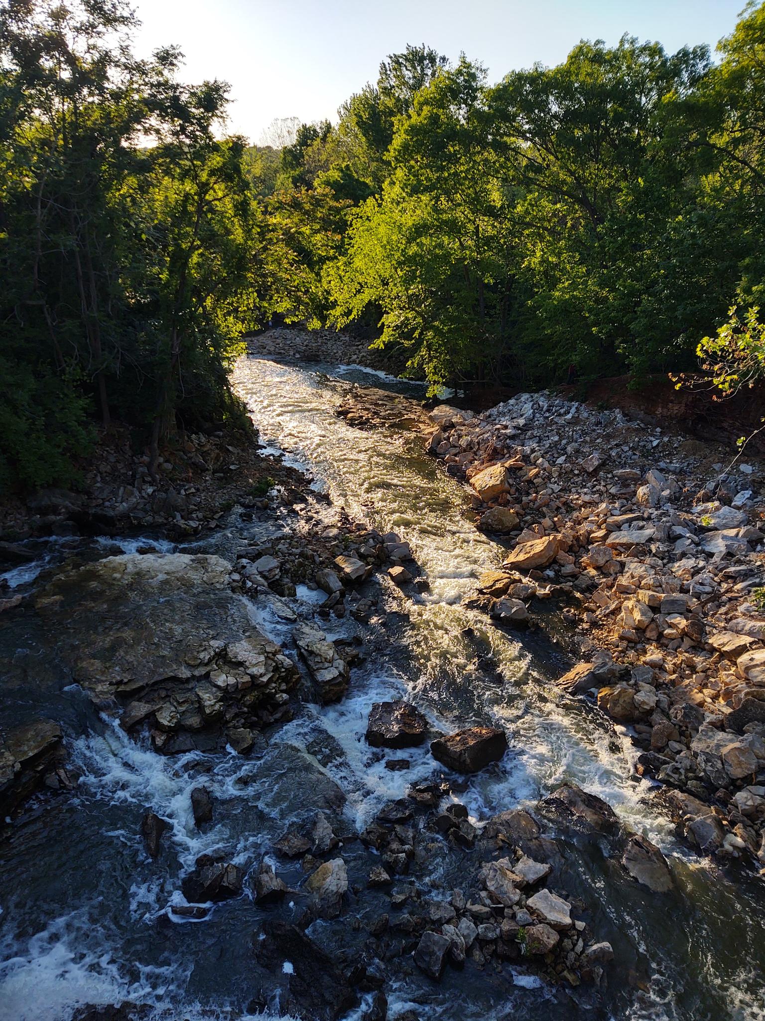 A rocky river flows through a lush green forest in warm sunlight.
