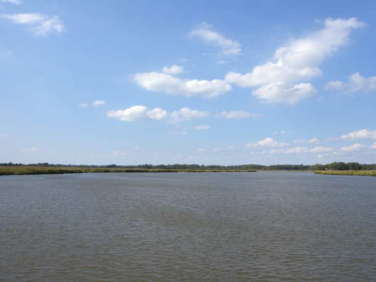 Cohansey River Wildlife Management Area: Rennradfahren und ...