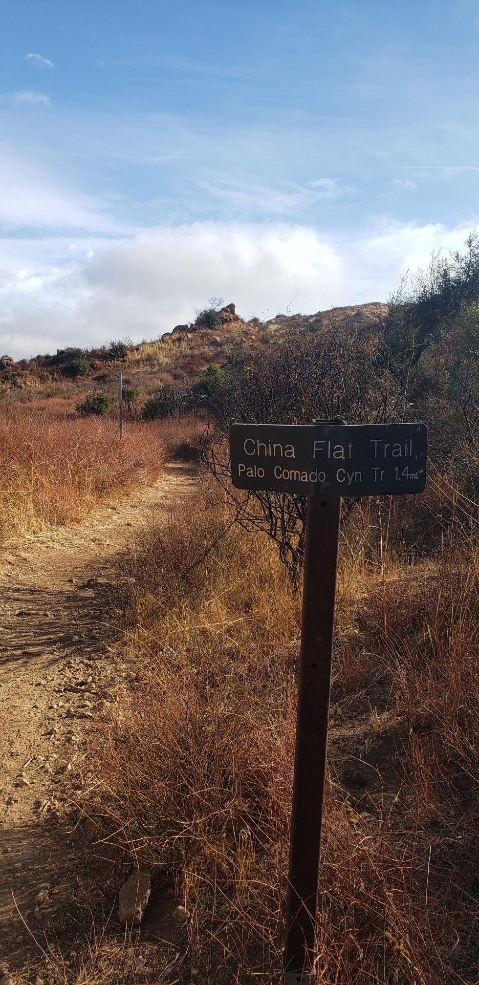 A weathered wooden sign stands beside a dry dirt trail under a blue sky. - "Dead Cow" & "Suicide Loop"