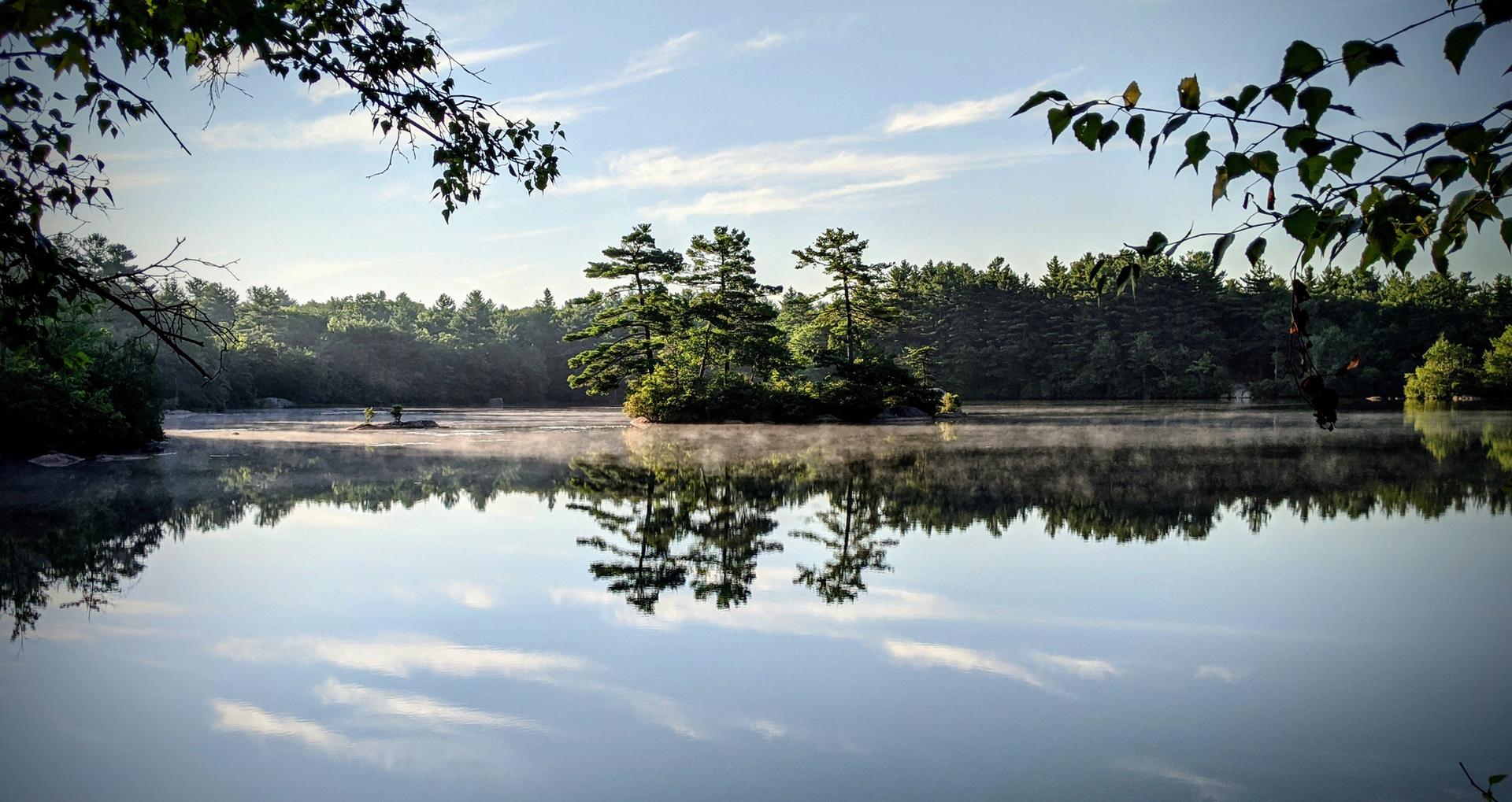 Serene lake with a tree-covered island, mist, and reflections under a soft morning sky.