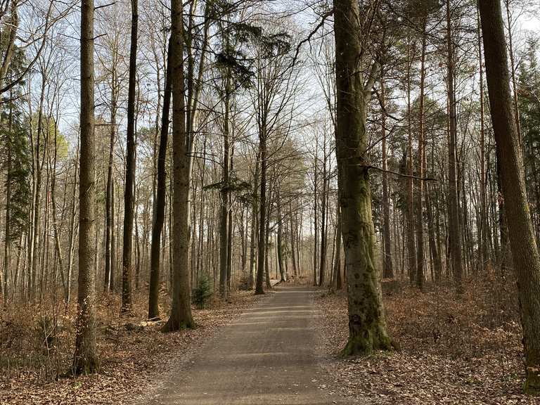 Esslinger Tor: Wanderungen und Rundwege | komoot