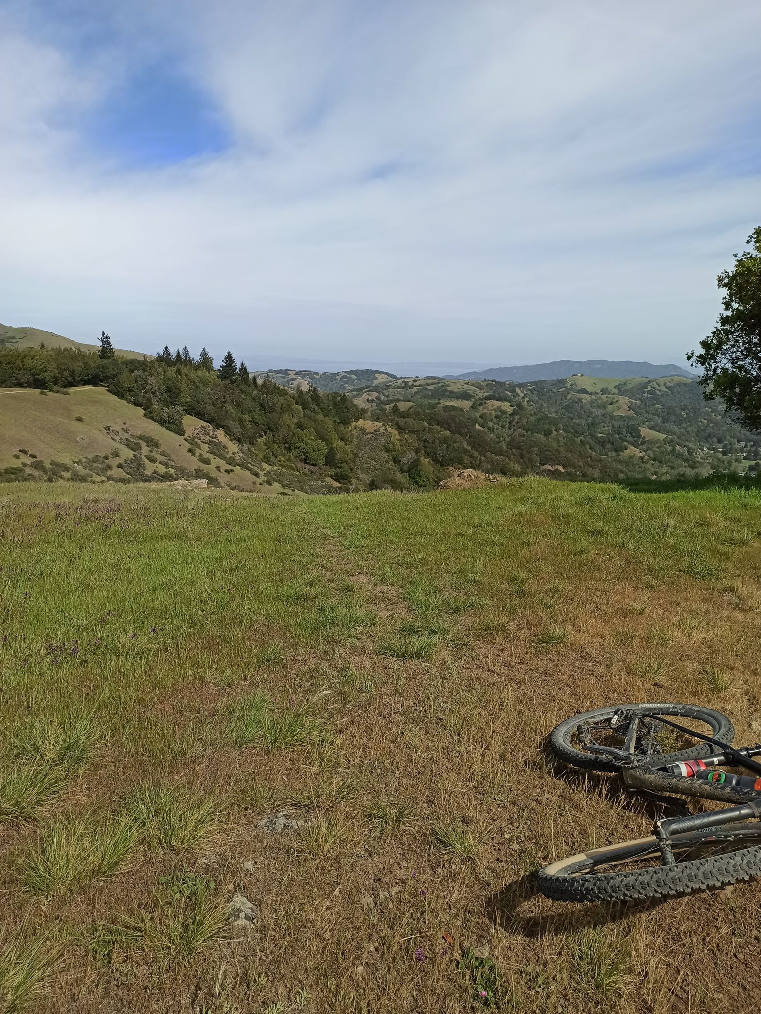 A mountain bike rests on a grassy hill overlooking distant green and brown hills. - Porcupine Trail loop from Woodacre