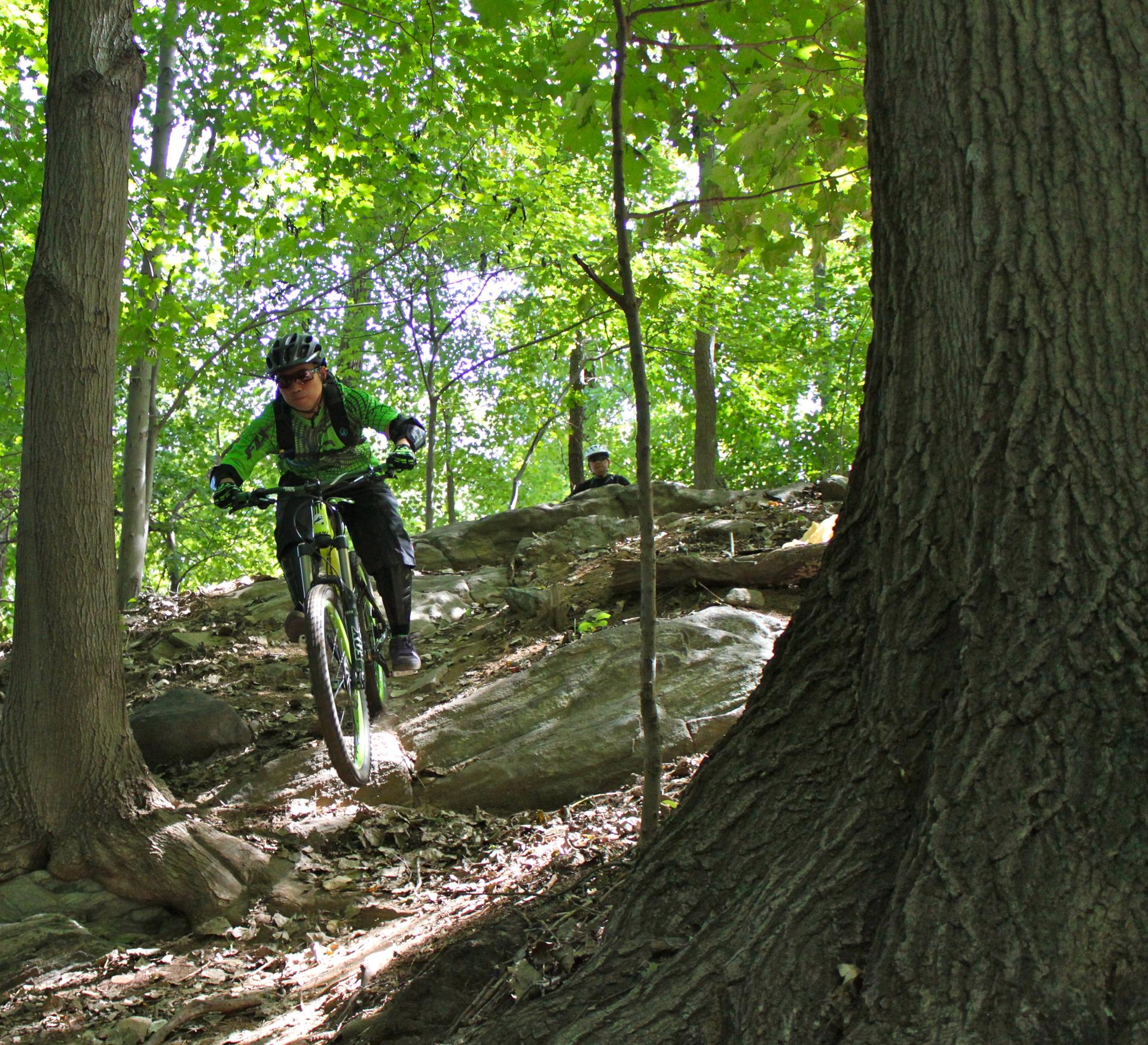 Mountain biker in green rides down a rocky, sun-dappled forest trail.