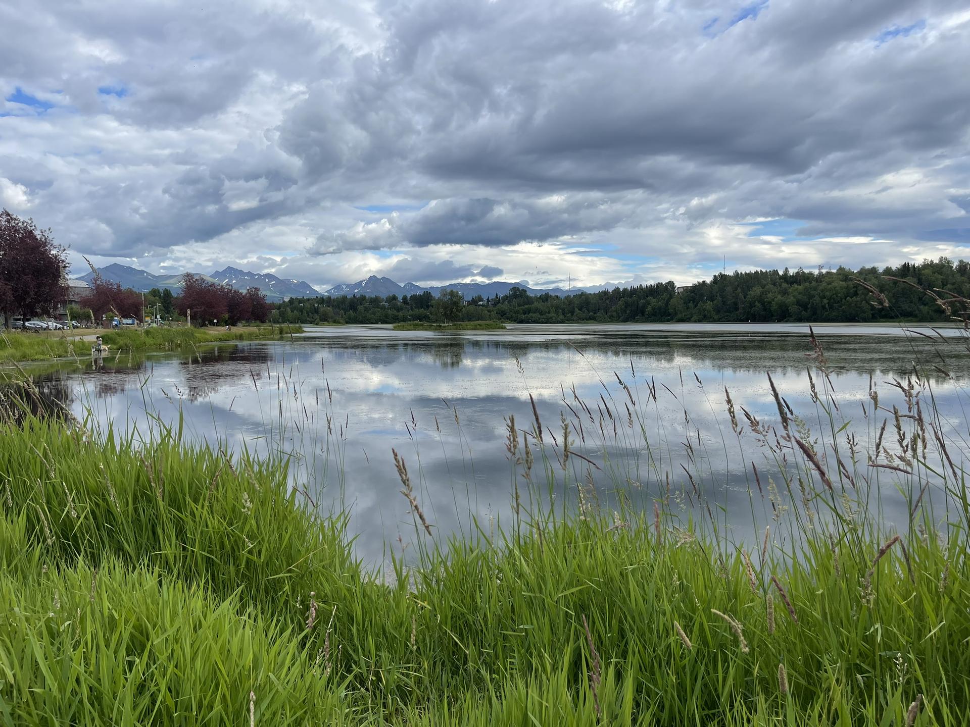 A lake with tall green grass in foreground under a cloudy sky.