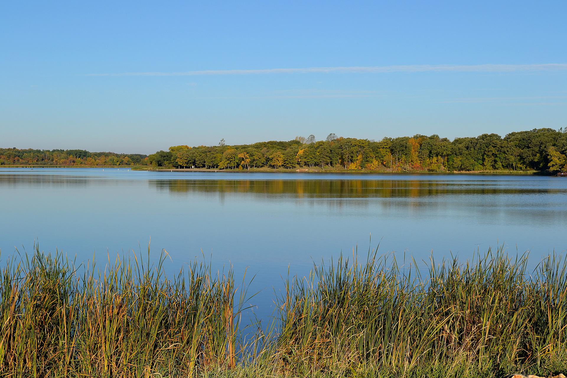Calm lake reflecting blue sky, with green trees and tall grass in daylight.