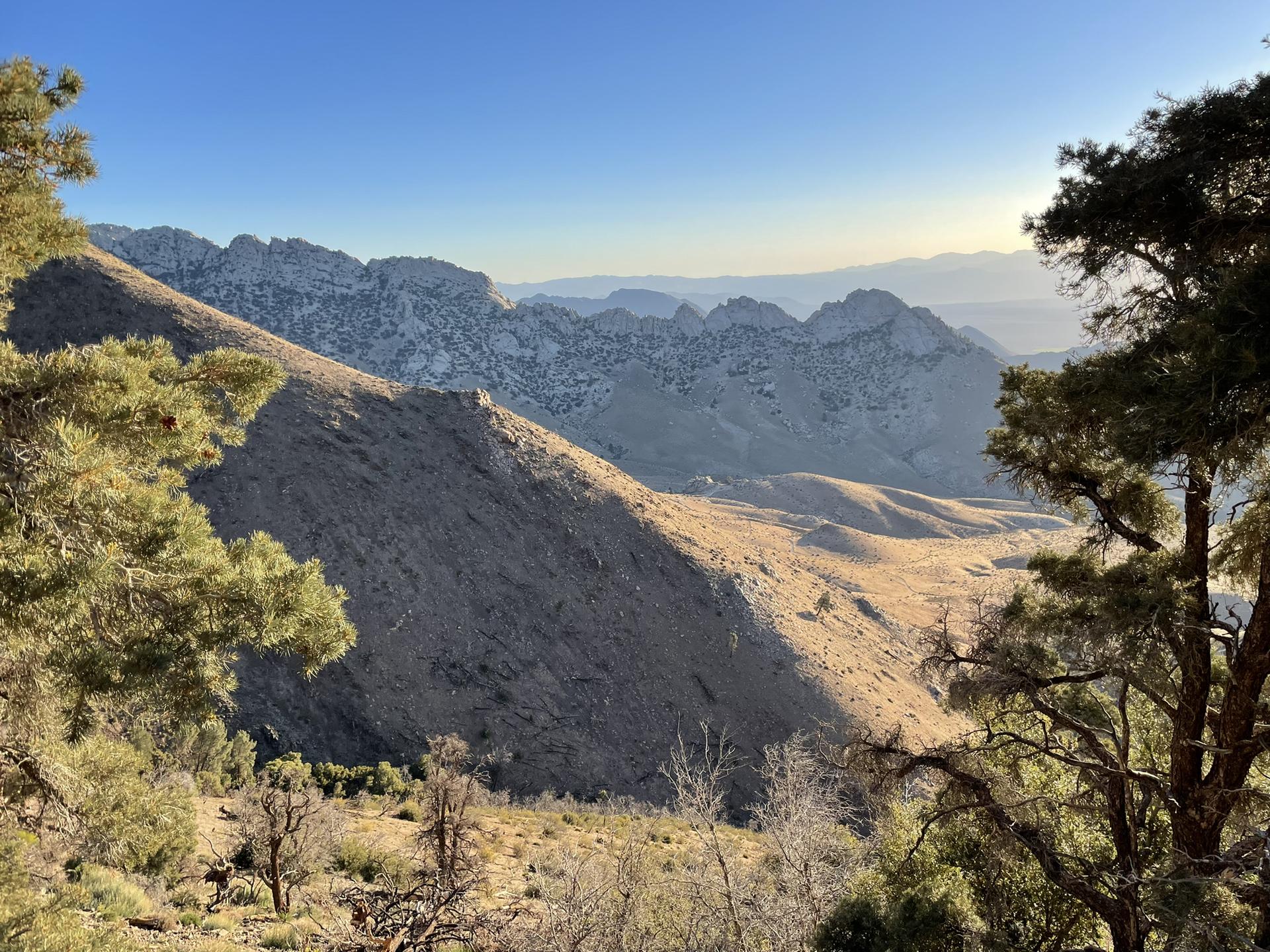 Golden hour light illuminates rugged mountains and valleys with scattered trees.