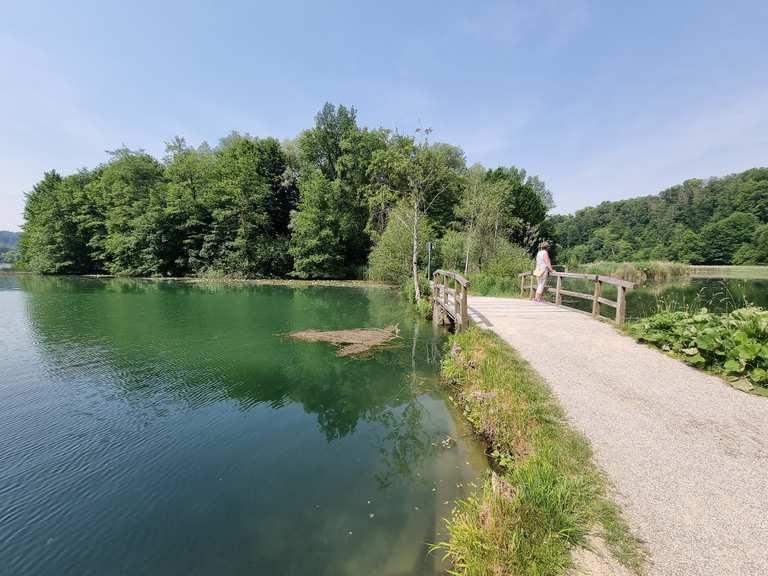 Kleine Brücke über den Wöhrsee Wanderungen und Rundwege komoot