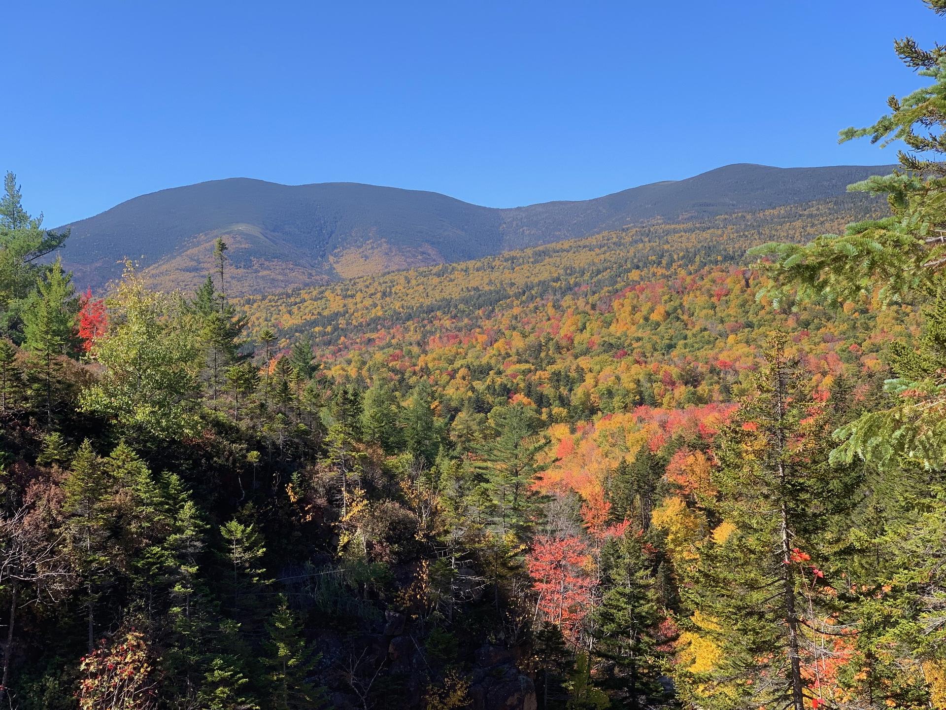 Vibrant autumn foliage covers forested mountains under a clear blue sky.