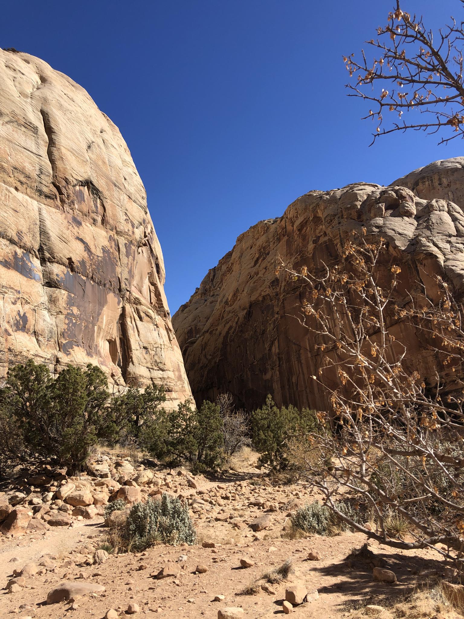 A narrow canyon path between tall, light-colored rock formations on a sunny day.