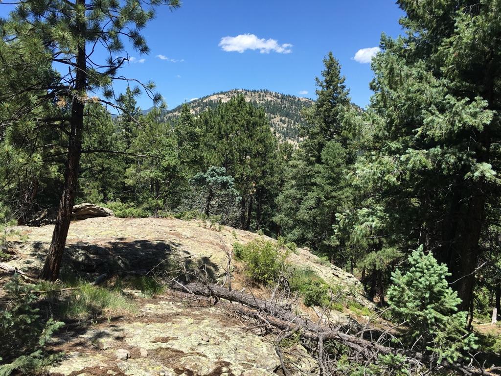Dense pine forest and rocky terrain with a distant forested mountain peak.