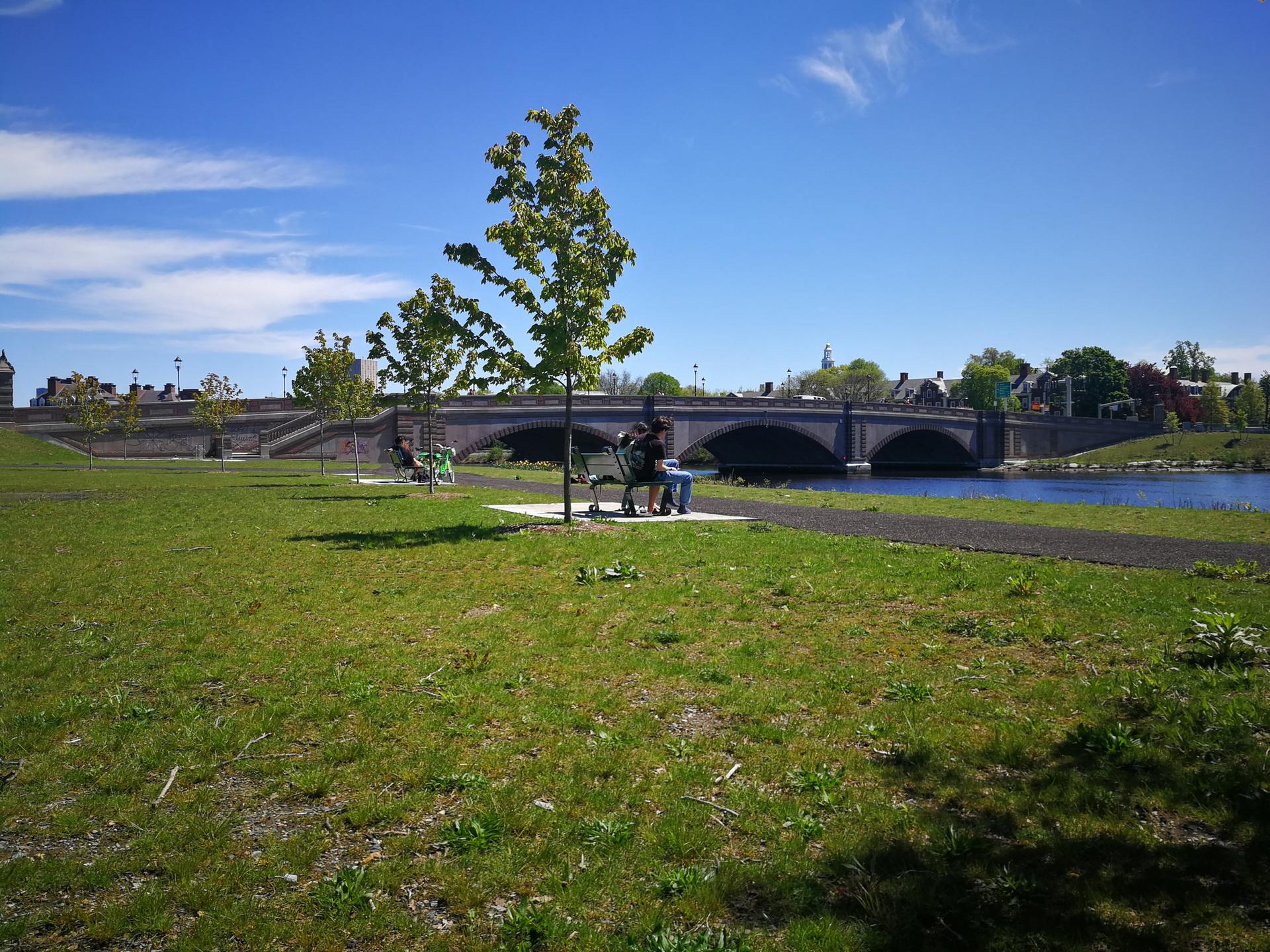 Sunny park with people by a river, a large stone bridge in background.