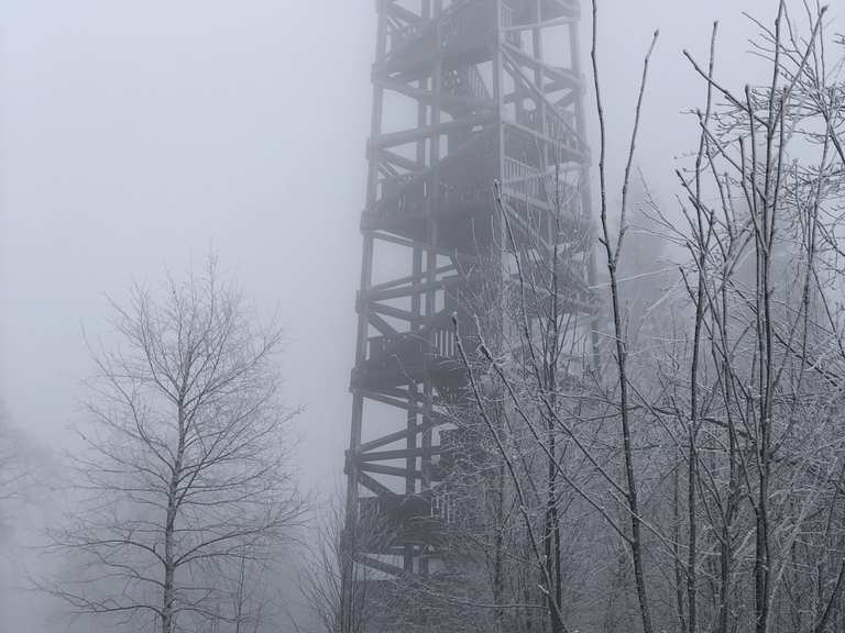 Kellerwaldturm Wanderungen und Rundwege komoot