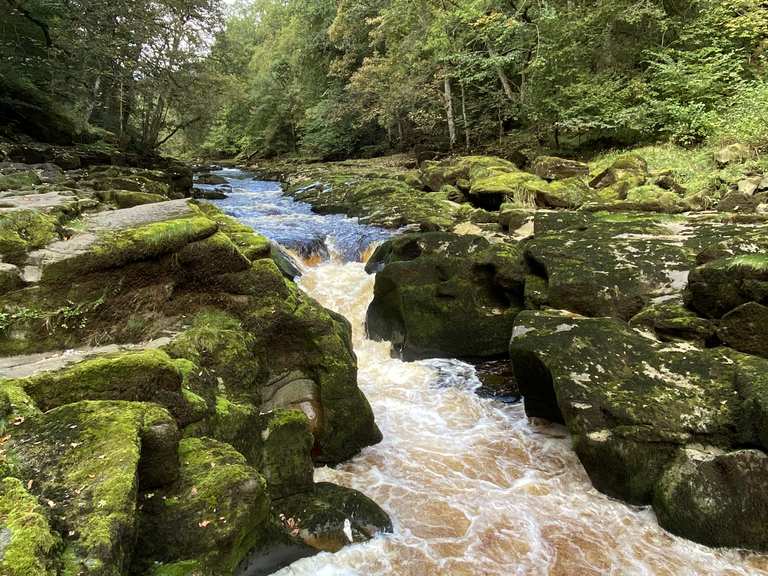 The Strid on the River Wharfe – Hikes & How to Get There | Komoot