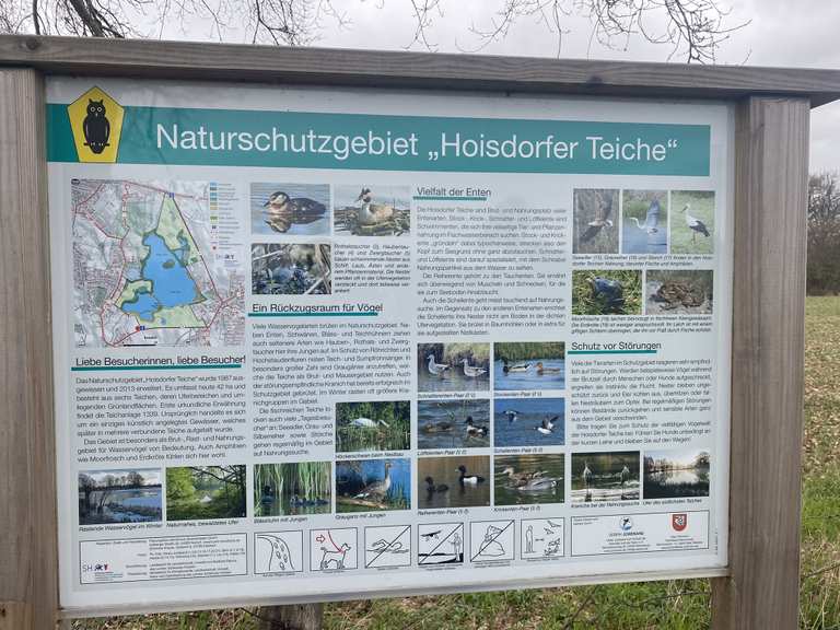 Naturschutzgebiet Hoisdorfer Teiche Cycle Routes and Map Komoot