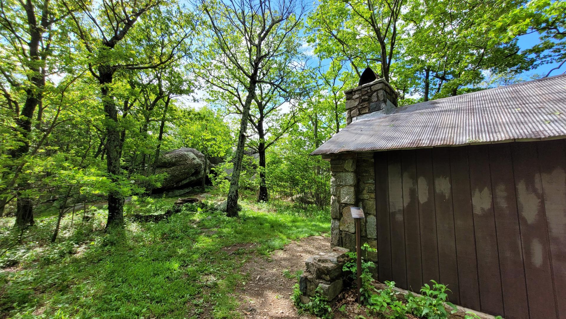 Small wooden shelter with stone chimney in a sunlit forest clearing.