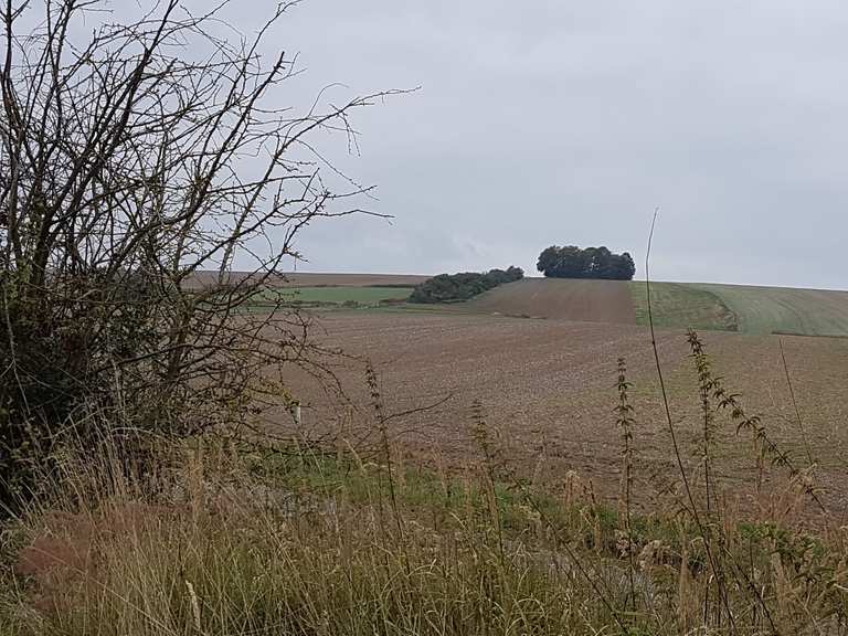 Pausenplatz am Innerste-Radweg : Radtouren und Radwege | komoot