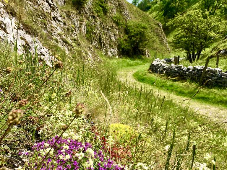 From Dovedale to Reynard's Cave | Wanderung | Komoot