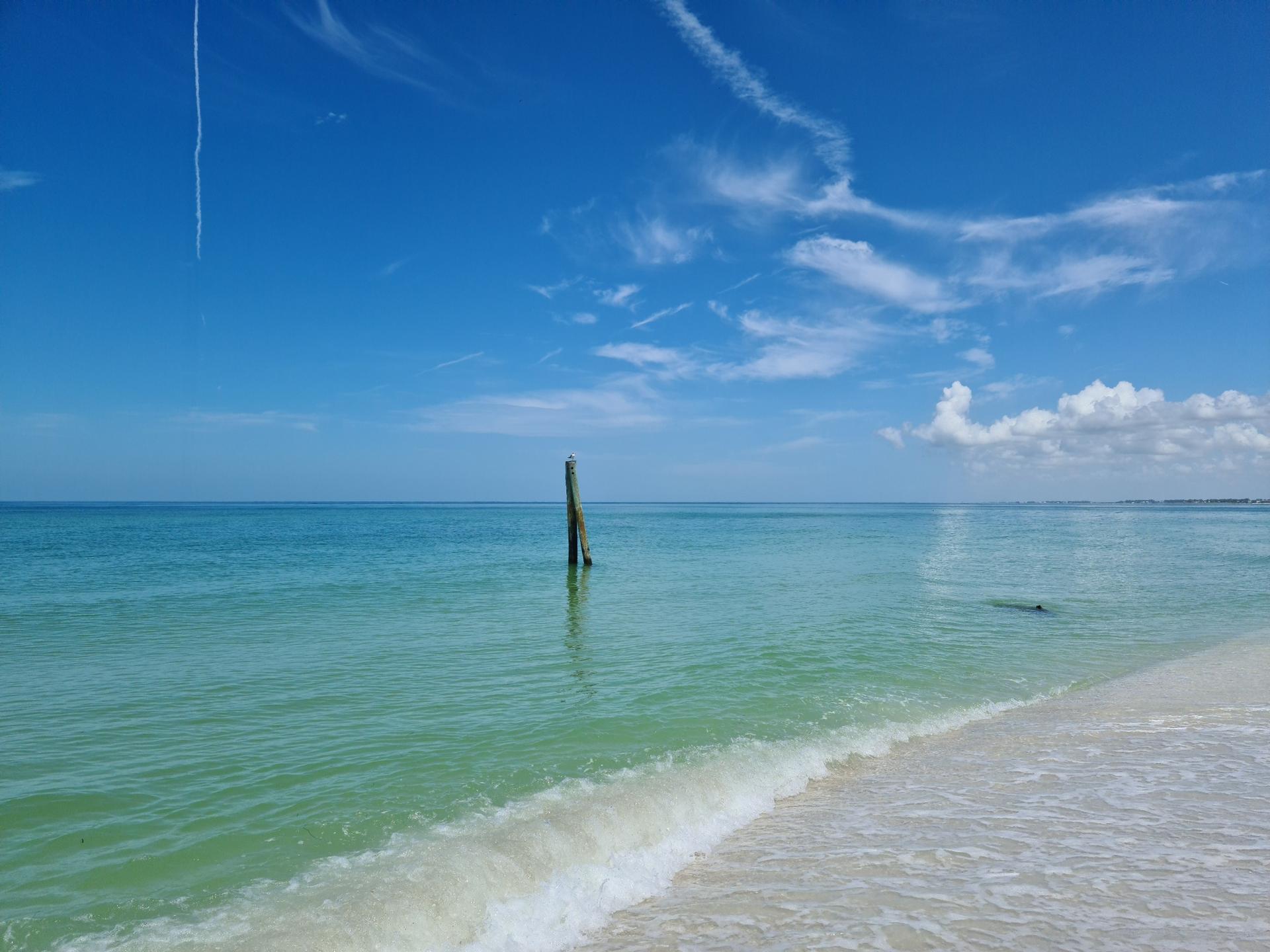 Wooden post in calm turquoise ocean water next to a sandy beach.