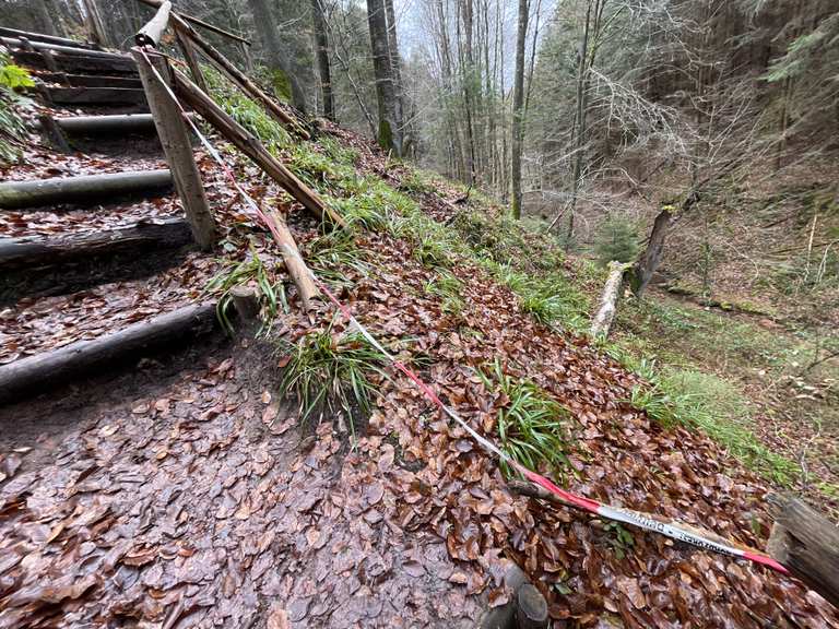 Steile Treppe (mit kaputtem Geländer!) hinunter zum Bach: Wanderungen ...