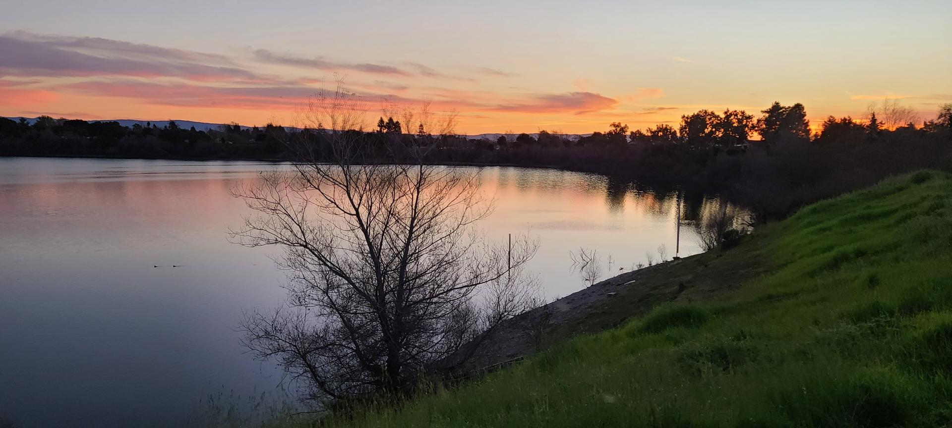 A serene lake at sunset with a colorful sky, green grass, and bare trees.