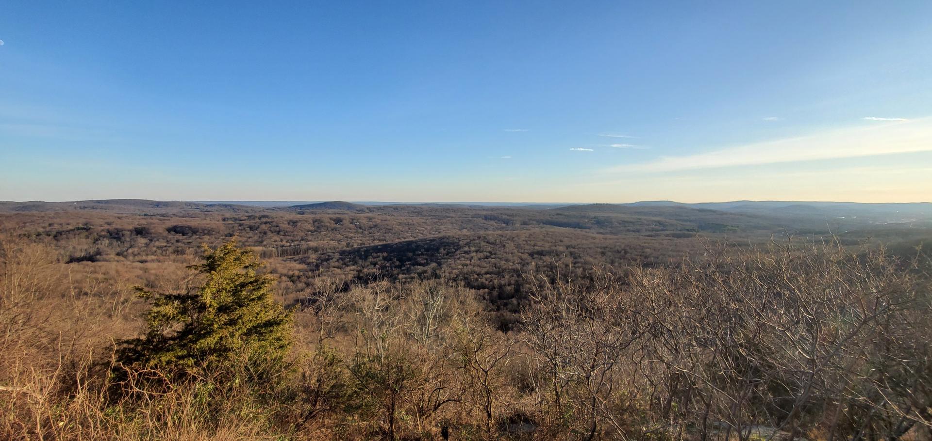 Expansive view of a forested valley with bare trees under a bright sky.