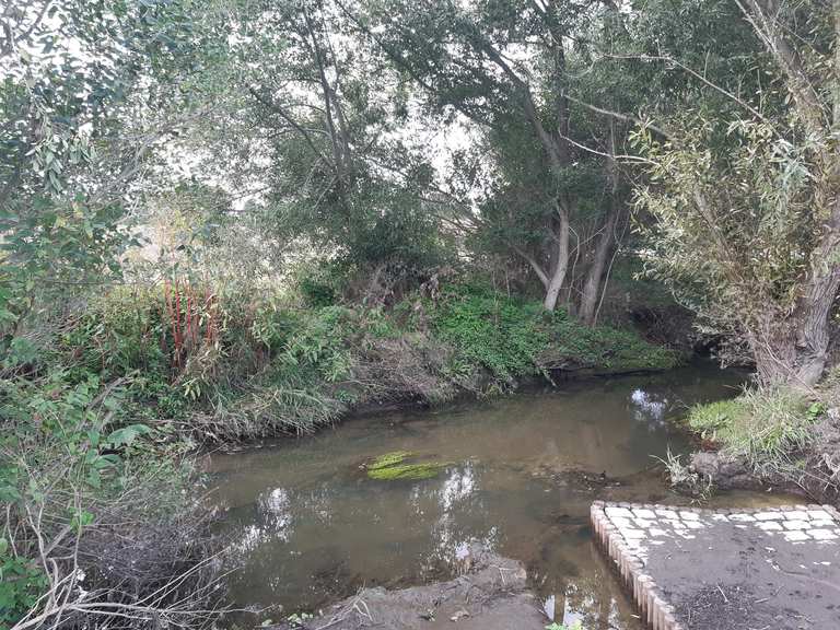 der Gerstenbach Wanderungen und Rundwege komoot