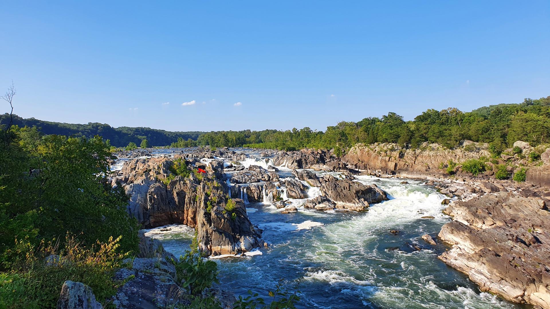 Sunny view of a wide river with rocky rapids and green forested banks.