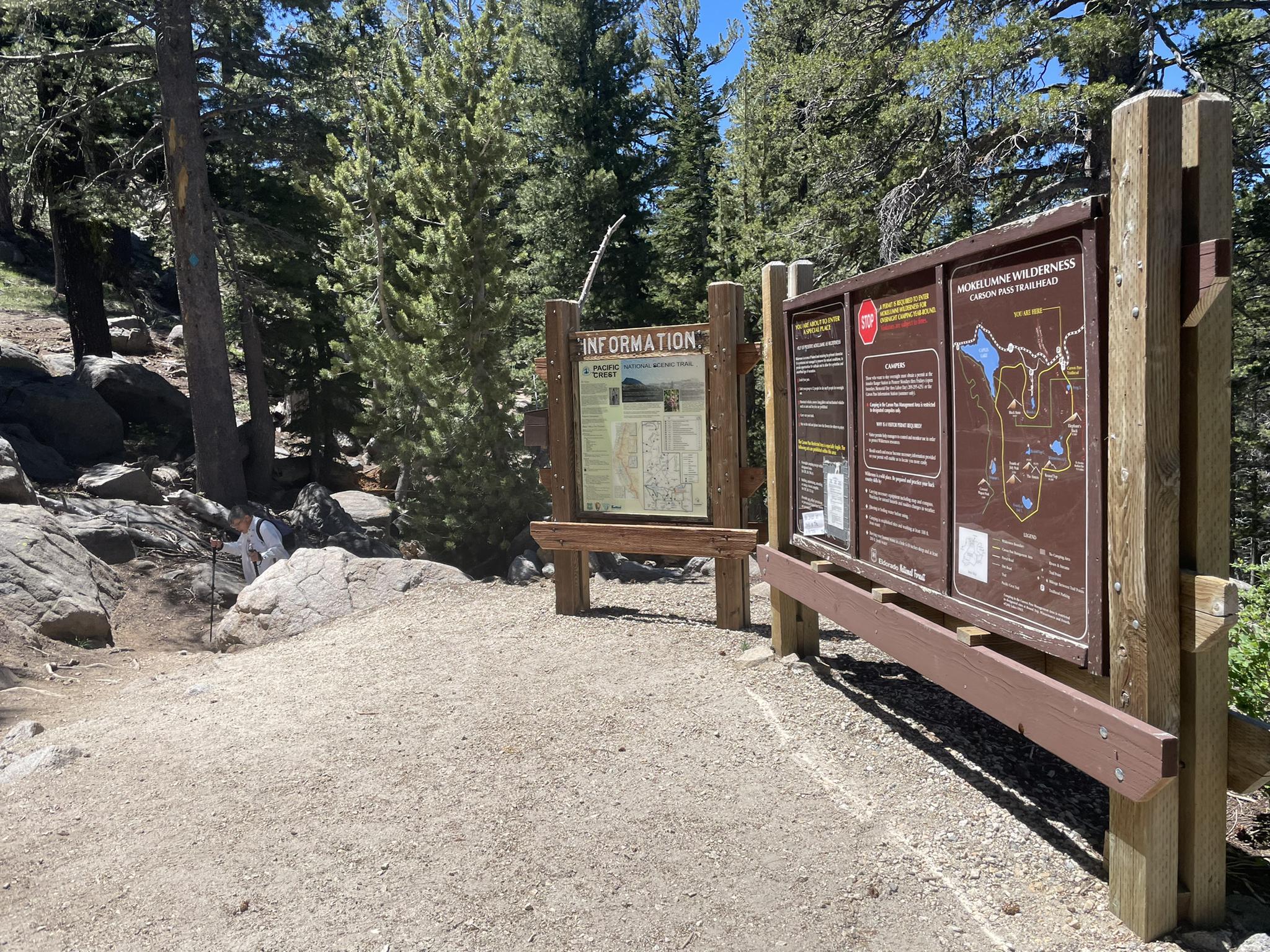 Two wooden information signs stand on a dirt path in a sunny forest.