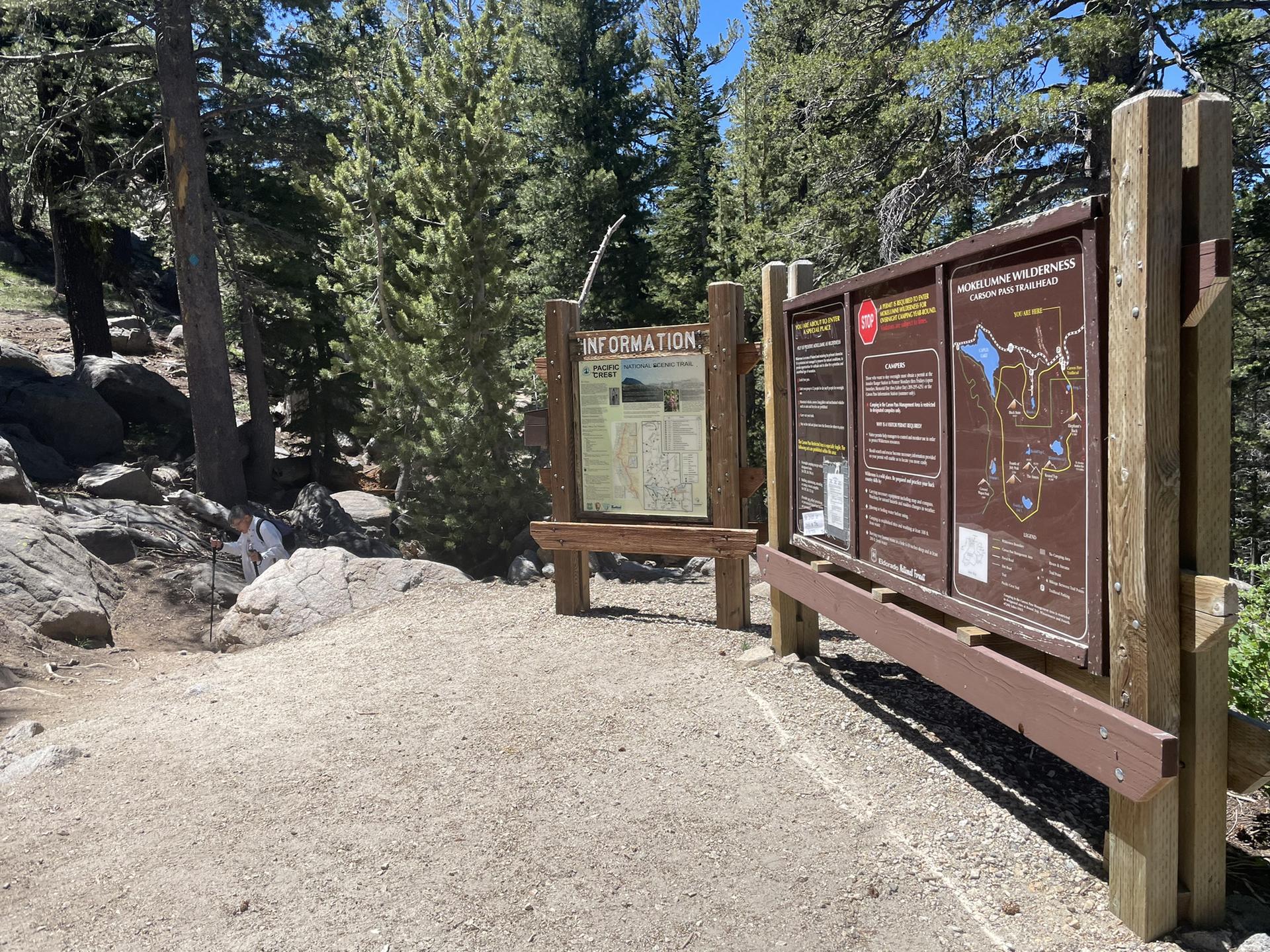 Two wooden information signs stand on a dirt path in a sunny forest.