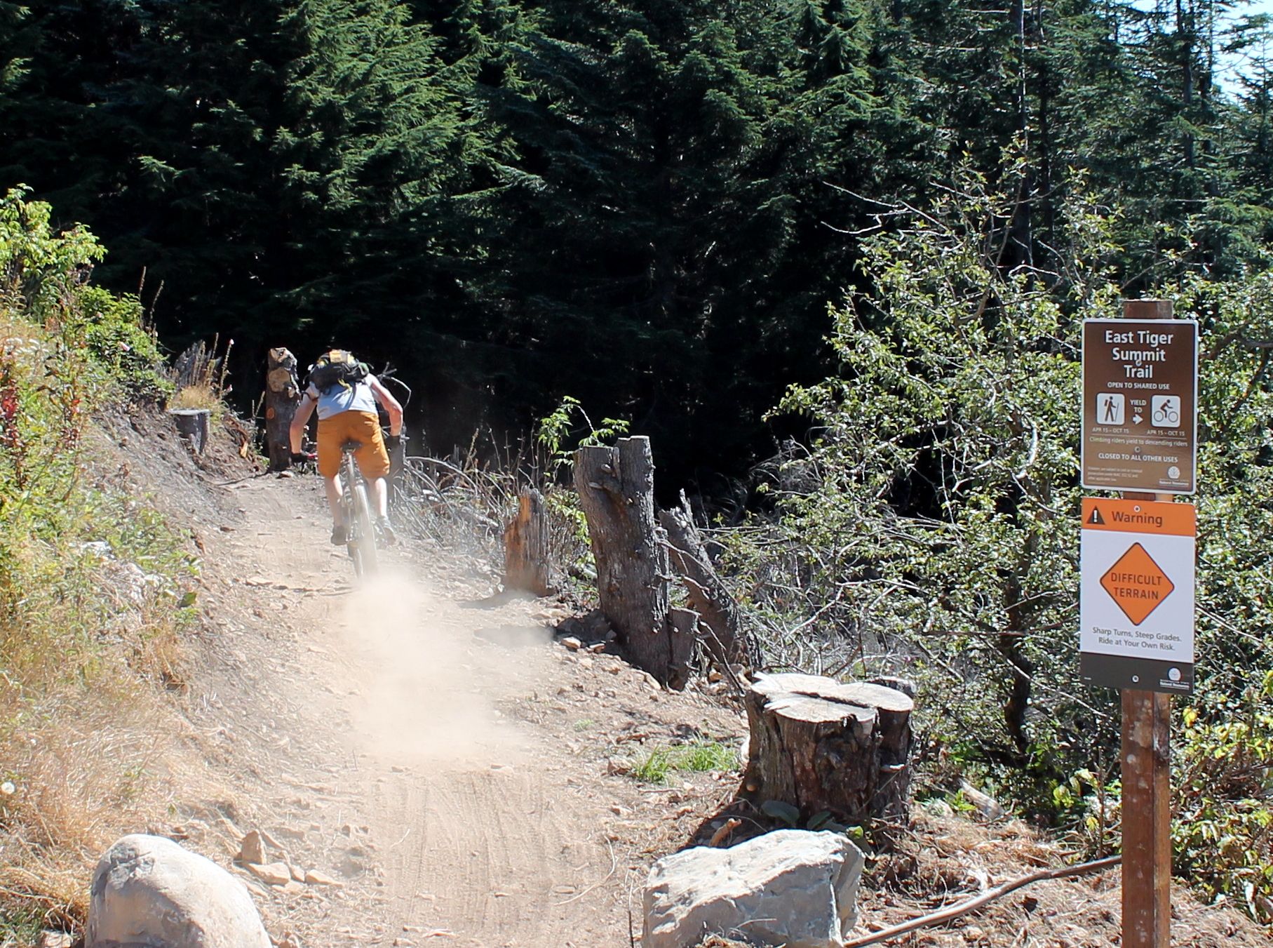 A mountain biker descends a dusty forest trail on a sunny day. - East Tiger Summit Trail – Off The Grid Trail loop from Tiger Mountain Trailhead